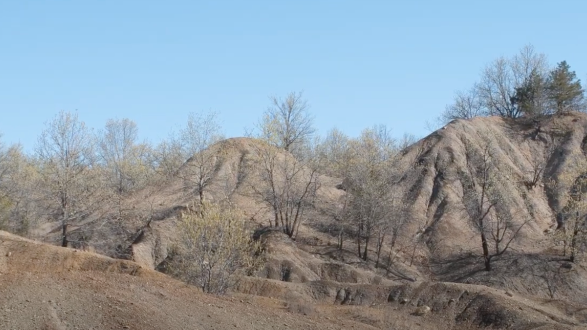 A photo of a reclaimed coal site.