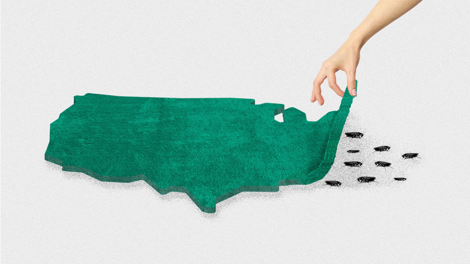 Illustration of the United States as a rug, a hand is pulling it up and revealing cockroaches underneath.