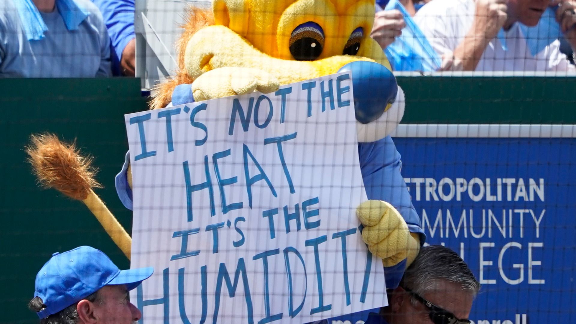 Sluggerrr mascot of the Kansas City Royals holds up a sign over a fans reading "IT'S NOT THE HEAT IT'S THE HUMIDITY"