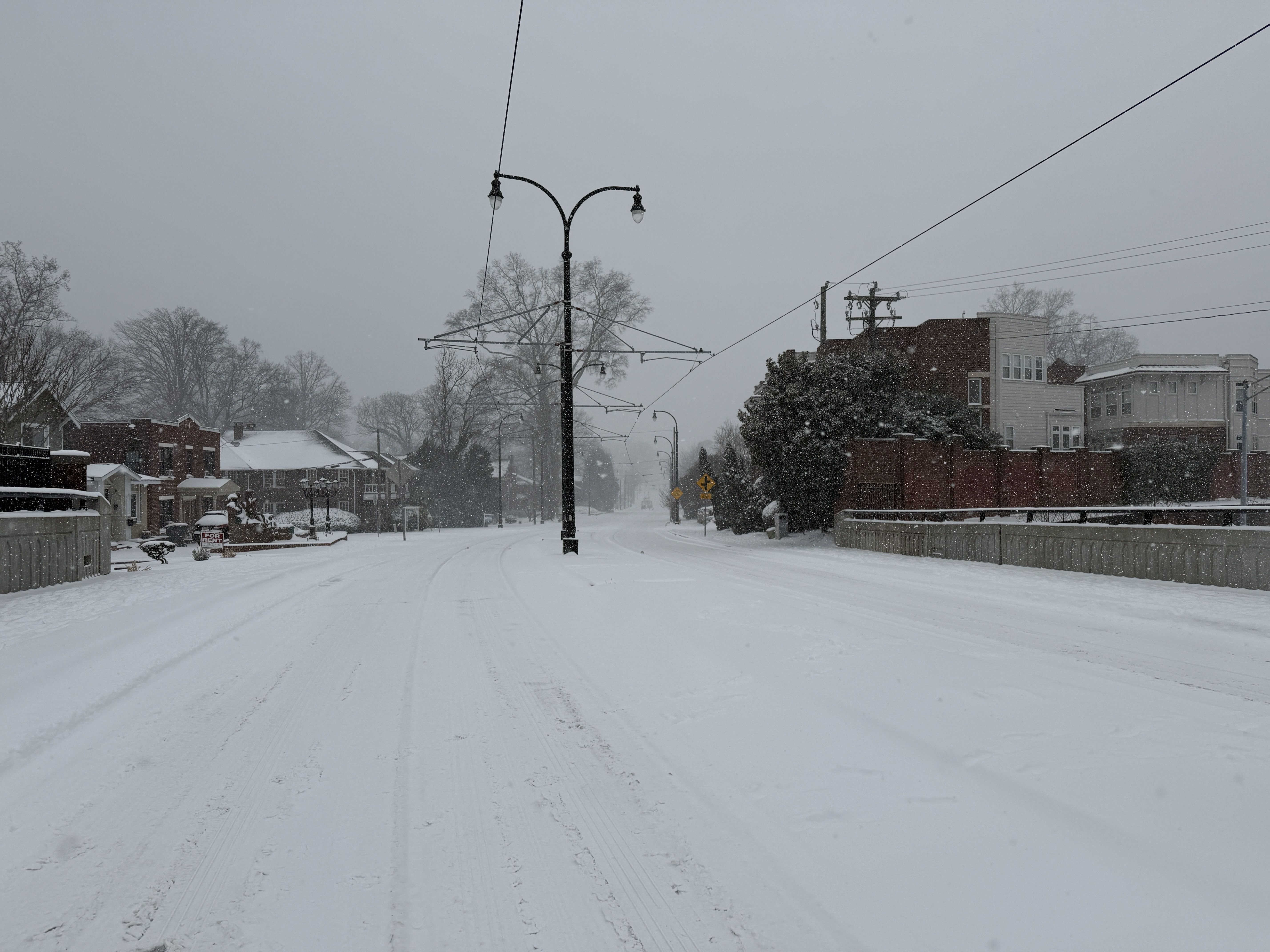 Snow-covered street with empty road, streetlamp poles, houses on both sides, trees, and falling snow under a gray sky.