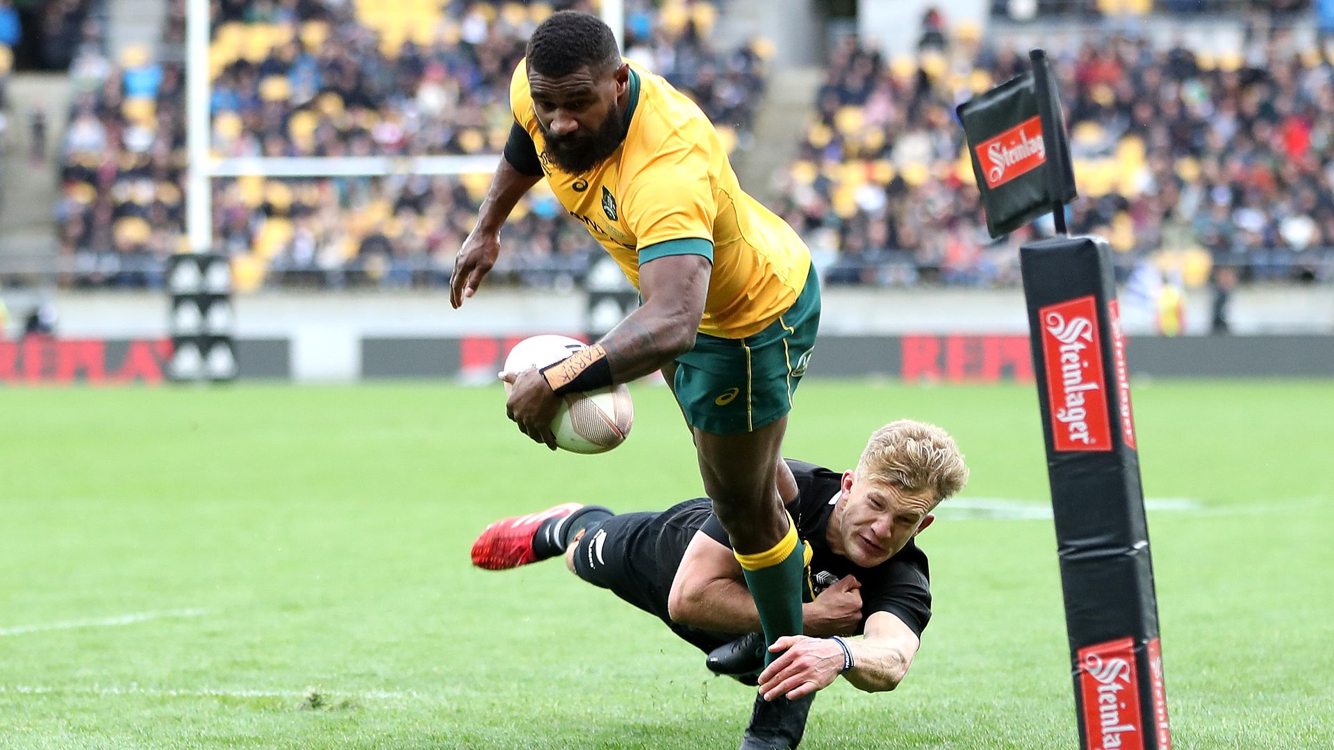 Marika Koroibete of the Wallabies dives over to score a try during the Bledisloe Cup match between New Zealand and Australia Wallabies on October 11, 2020 in Wellington, New Zealand.