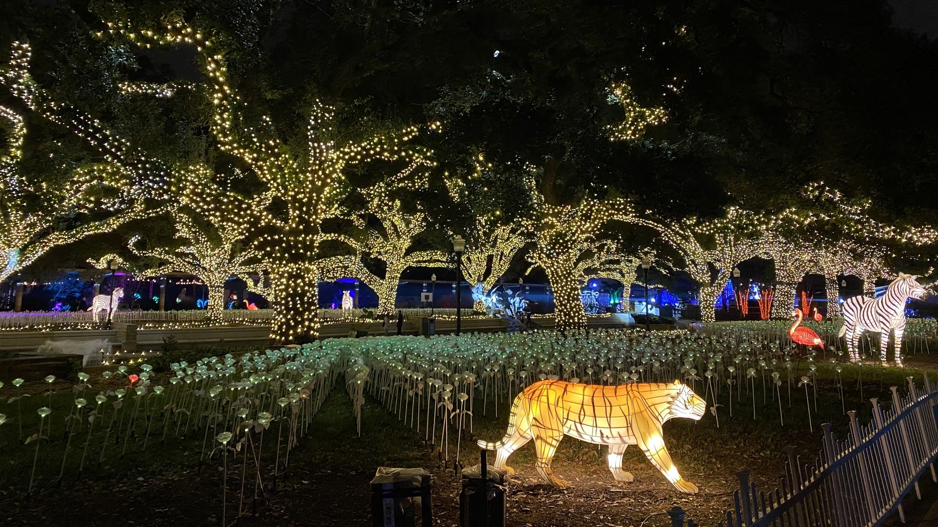 Photo of a blow-up tiger and zebra lit up