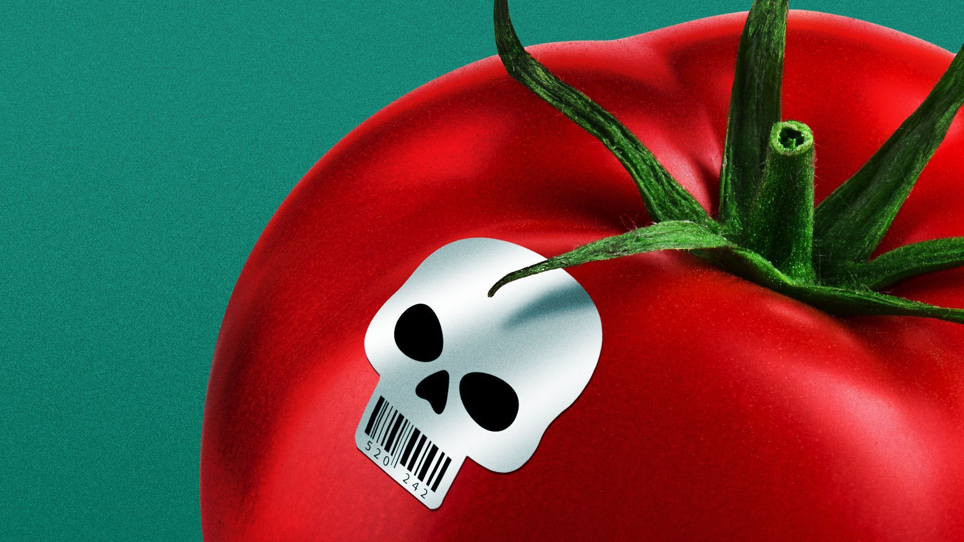 Illustration of a skull-shaped barcode on a tomato.