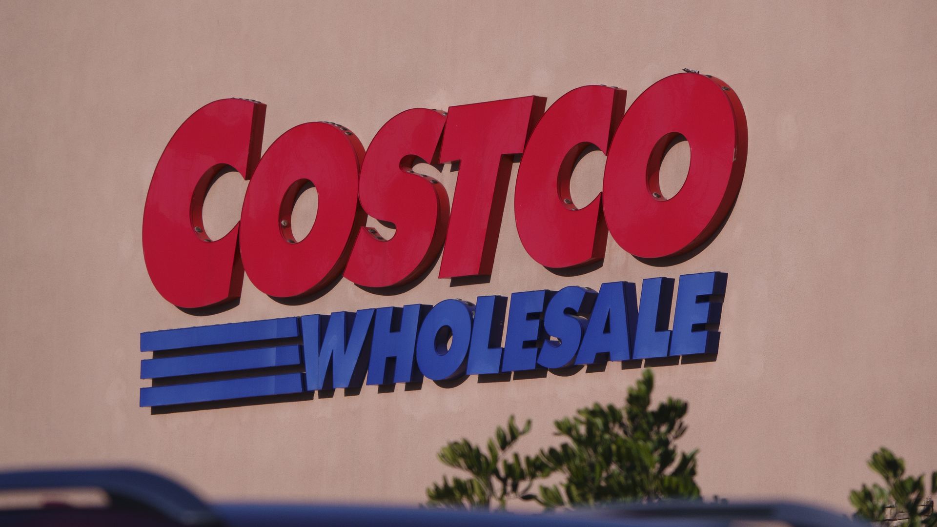 Red and blue Costco Wholesale sign on a beige wall with some green plants and car roof in foreground