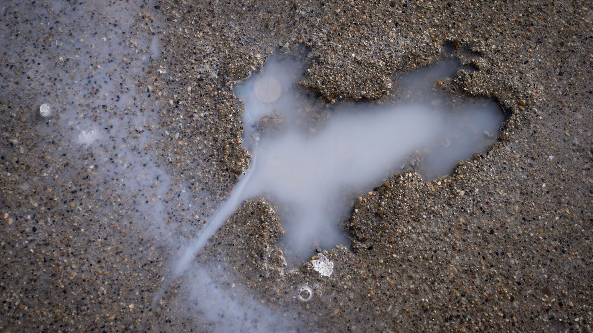 The imprint of a rat in concrete with a white translucent substance inside.