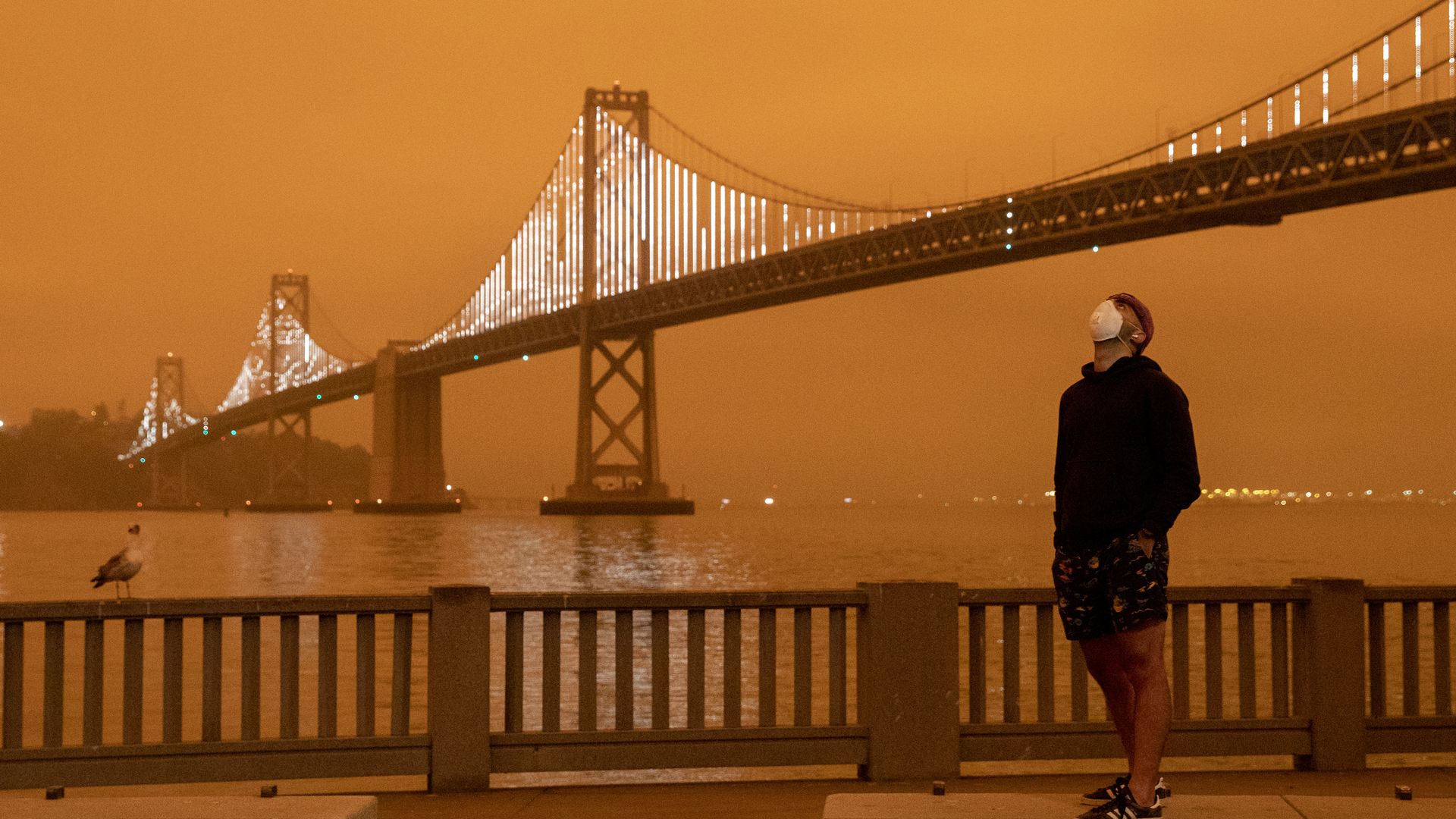 Someone wearing a face mask looks up while standing in front of the Golden Gate Bridge 