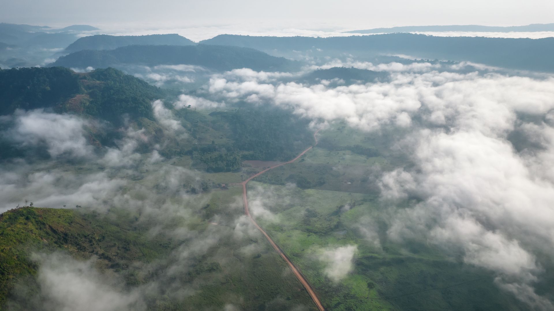 Aerial view of lush, green colors of the Amazon rainforest in Brazil.