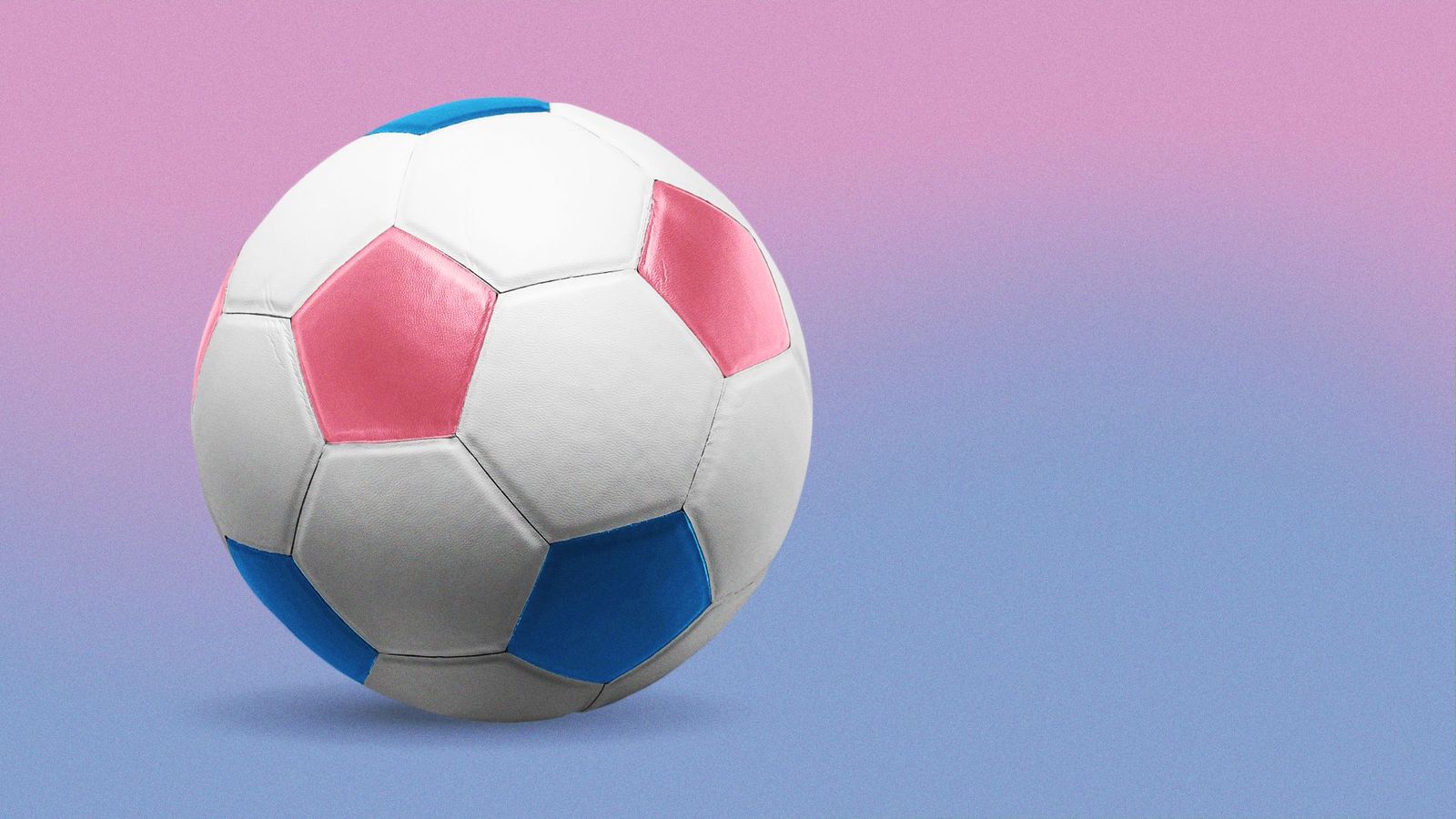 Lawmakers Criticize Proposed Title IX Changes Guiding Trans Athletes lawmakers-criticize-proposed-title-ix-changes-guiding-trans-athletes