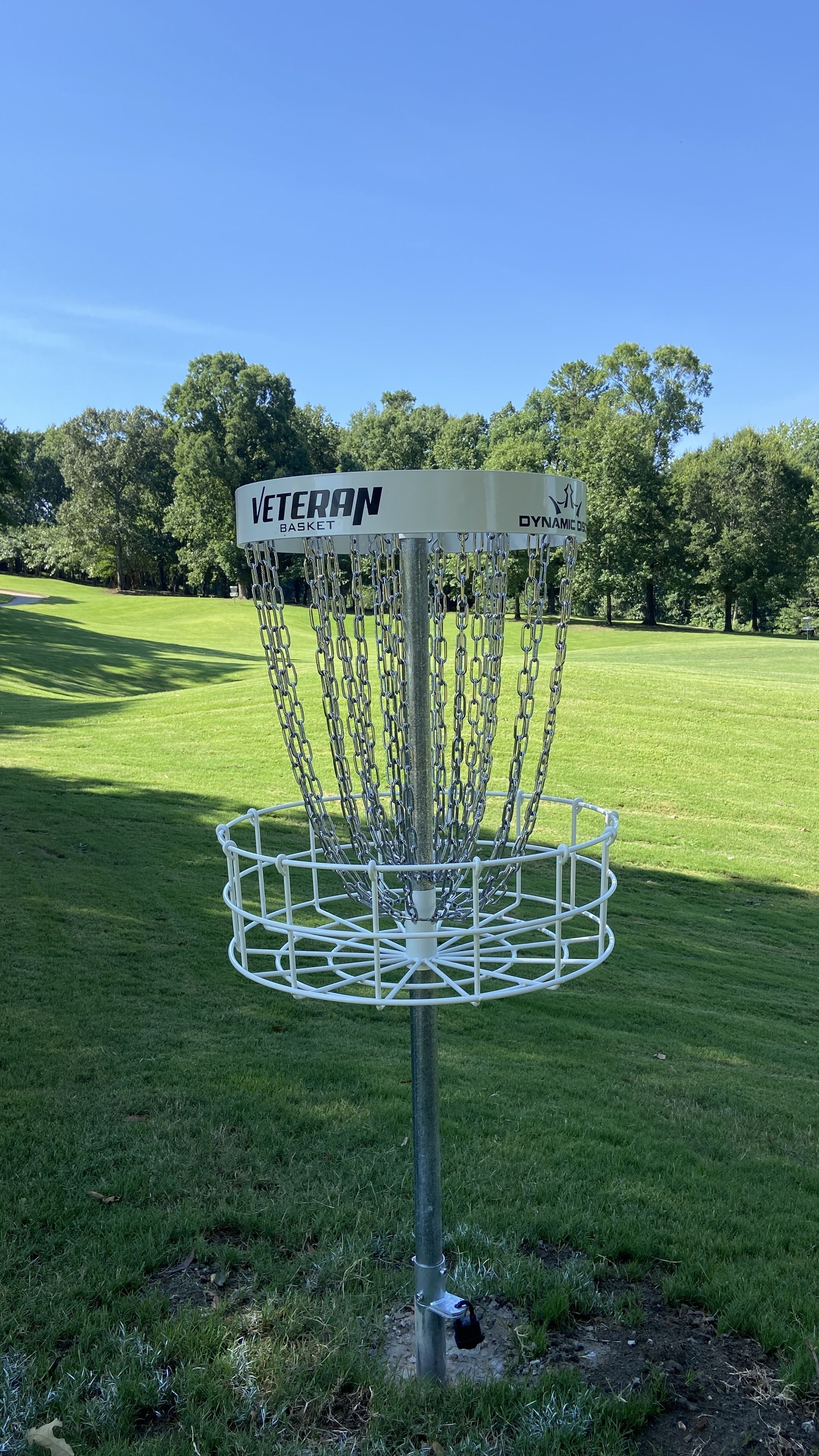 Disc golf basket in a sunny park with green grass and trees; metal chains hang from a white rim labeled "VETERAN BASKET" with a "DYNAMIC" logo, under a bright blue sky.