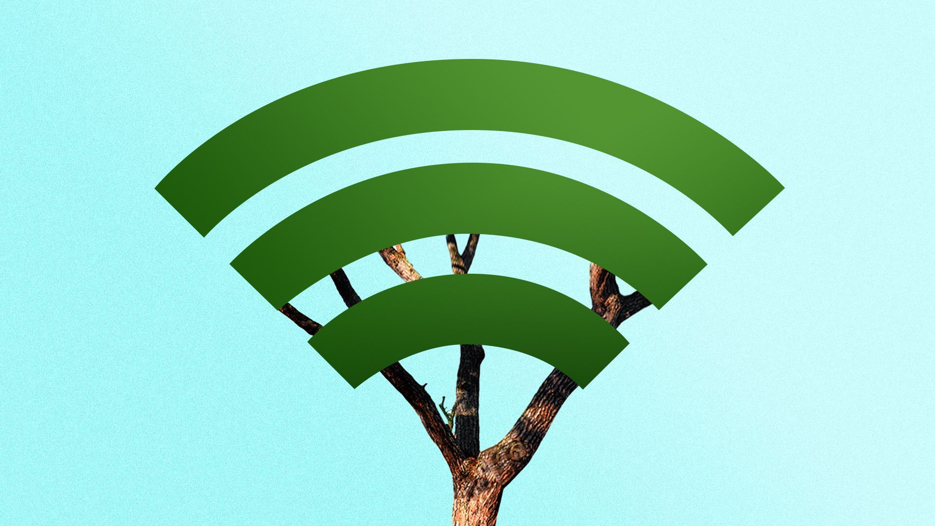Illustration of a tree trunk with a Wifi symbol in place of leaves