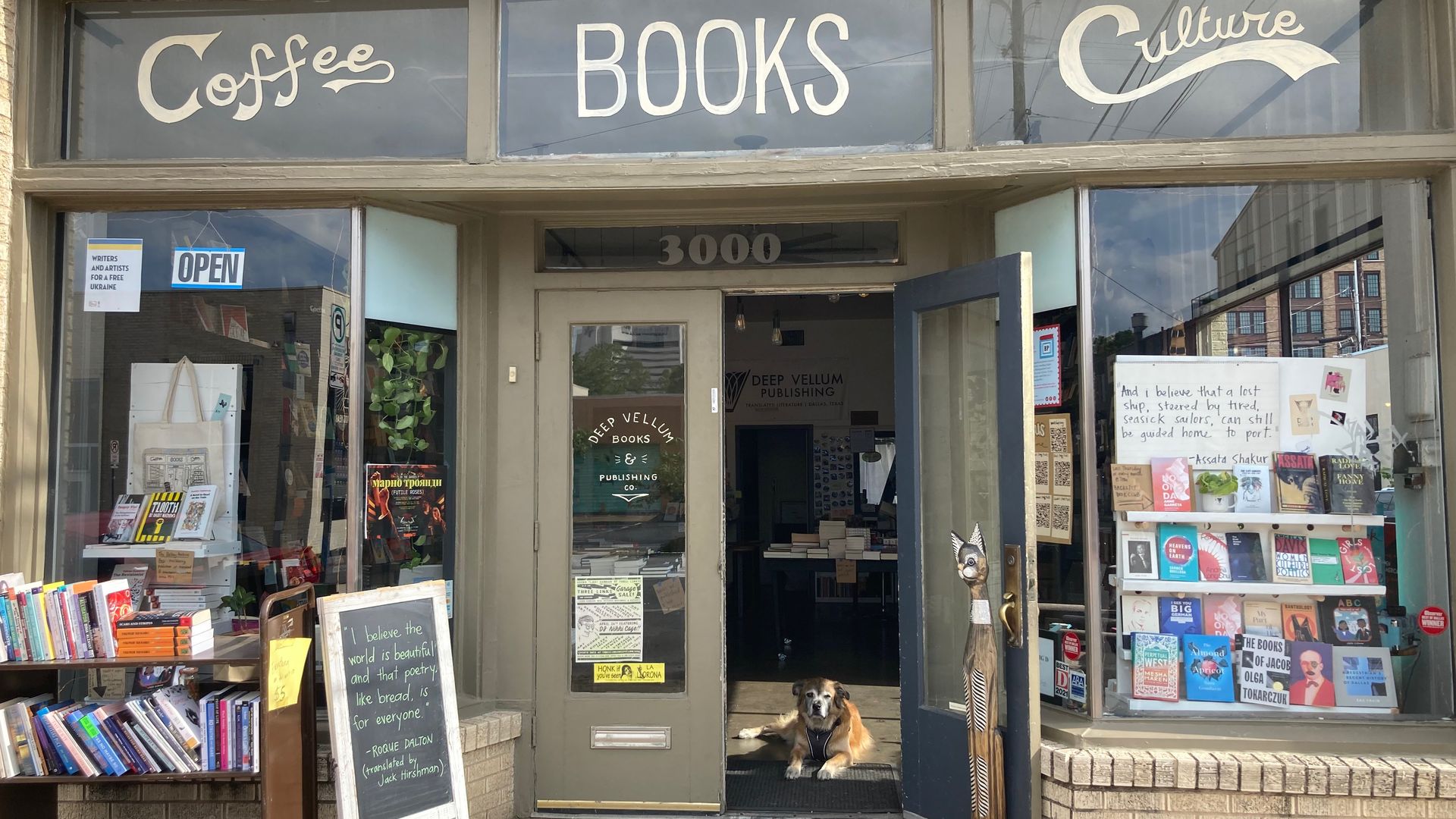 A gorgeous bookstore with a dog in the window
