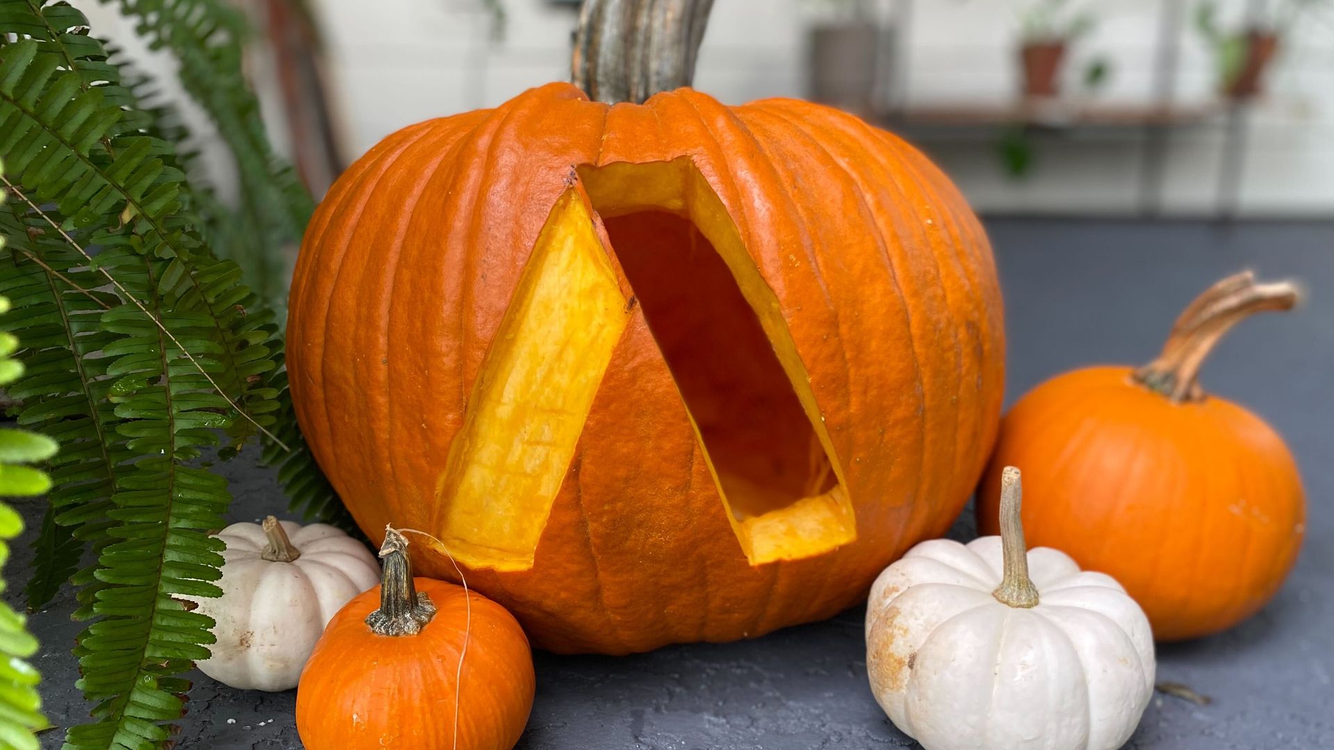 Photo of a carved pumpkin in the shape of the Axios logo. 