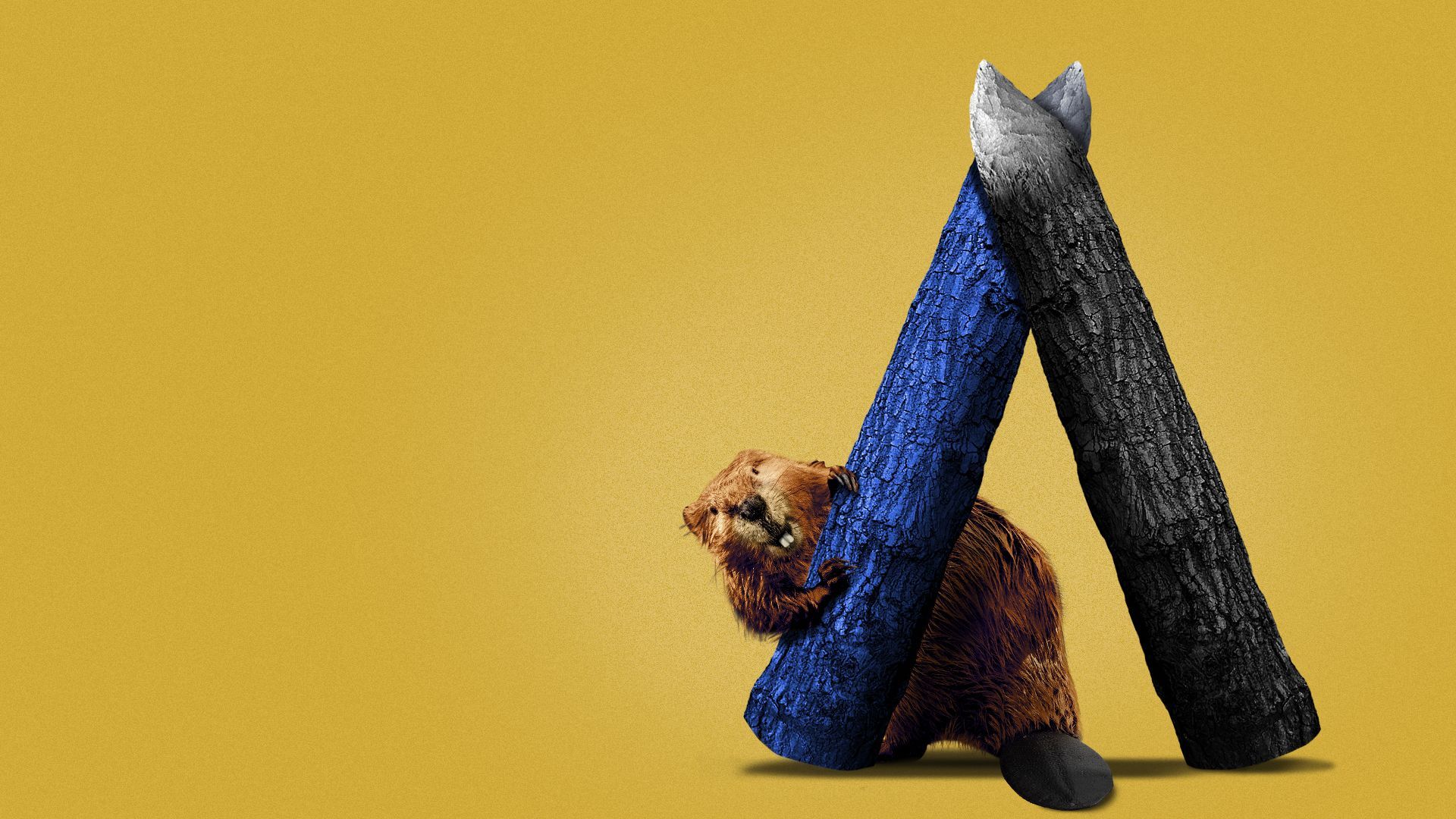 Illustration of a beaver peaking from behind two logs shaped like the Axios logo.