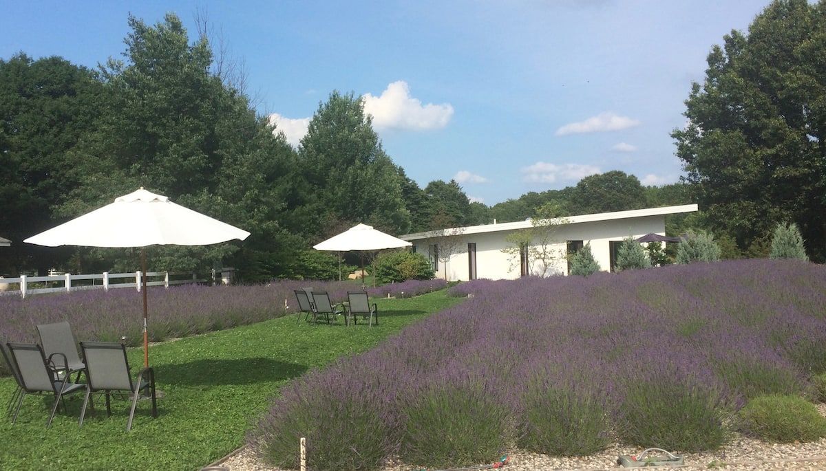 The Summerhouse at the Lavender Farm