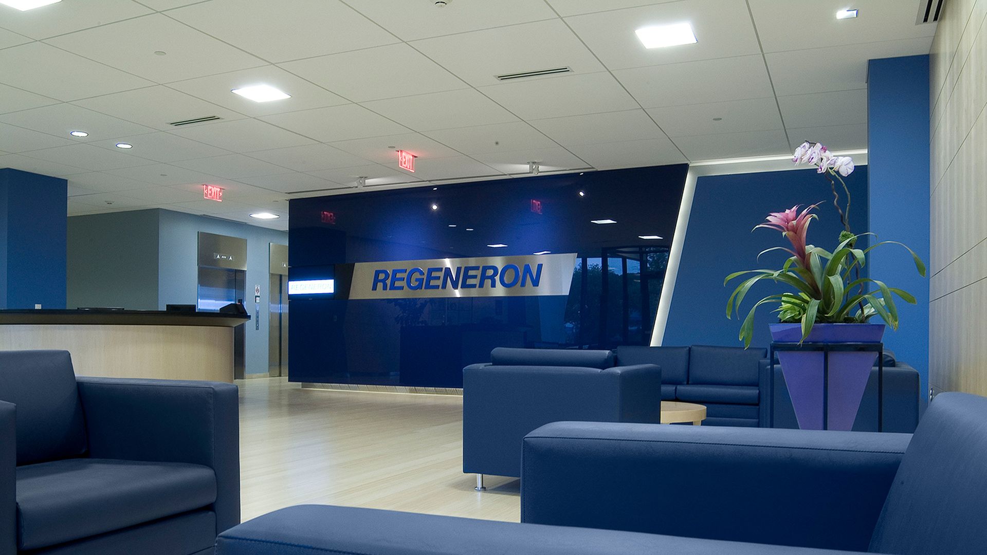 A room with blue furniture in Regeneron's headquarters building.