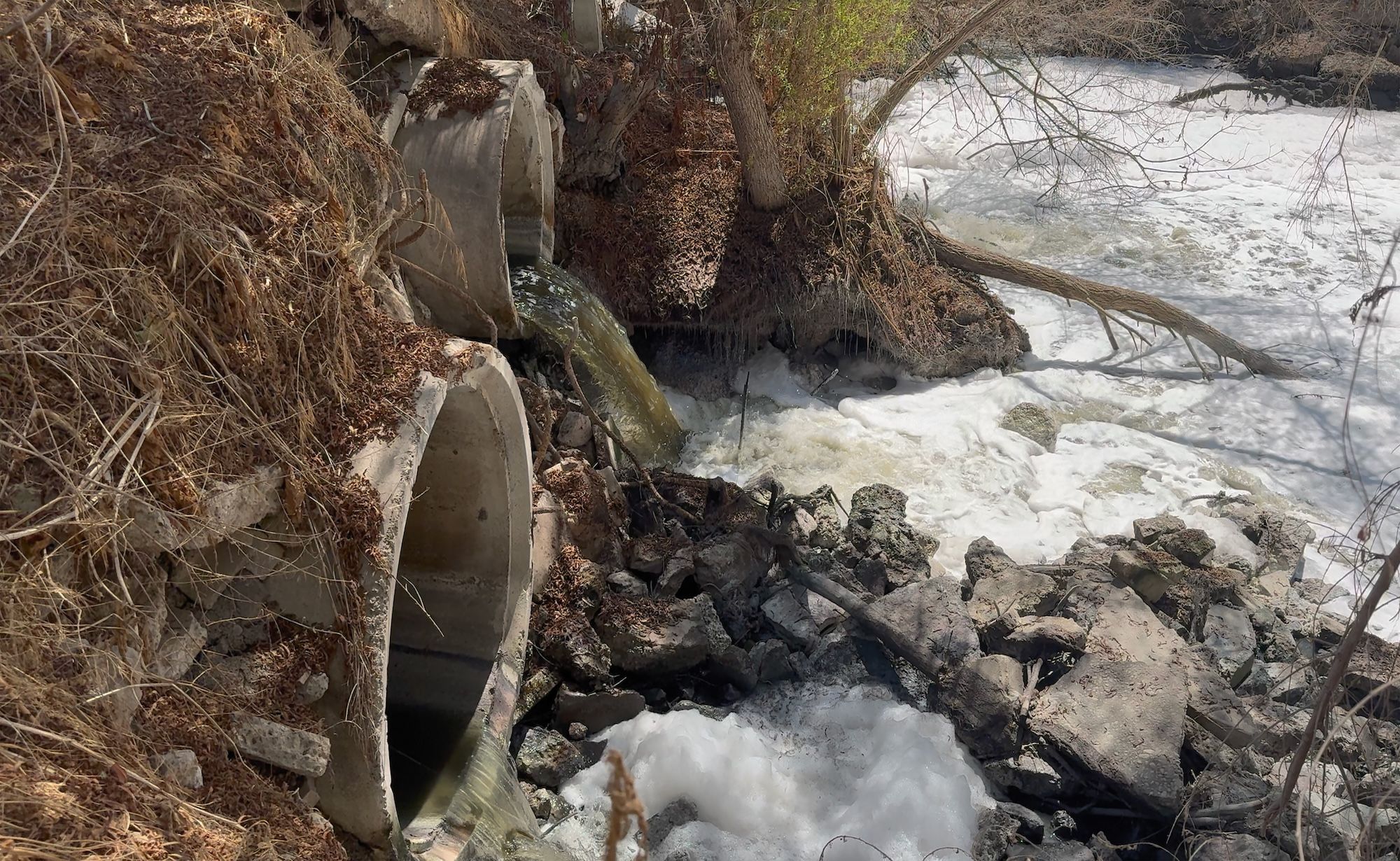 Two concrete drainage pipes on a dry, leaf-covered slope discharge foam-covered water into a rocky area with a fallen tree, surrounded by bare branches and sparse vegetation.