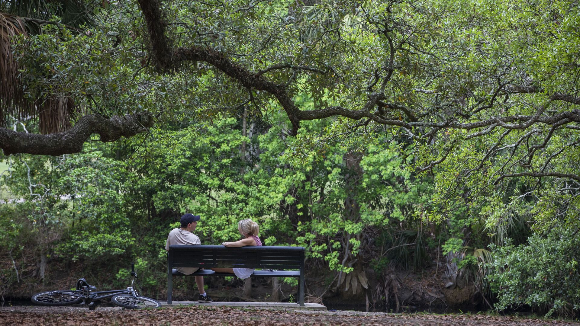 Photo shows two people sitting on a bench under live oak trees