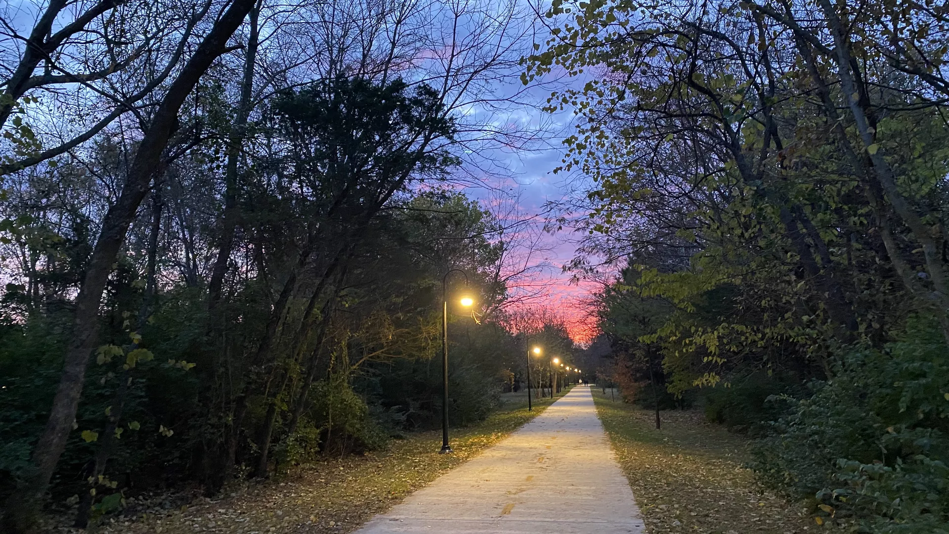 The Gulley Park trail at dusk