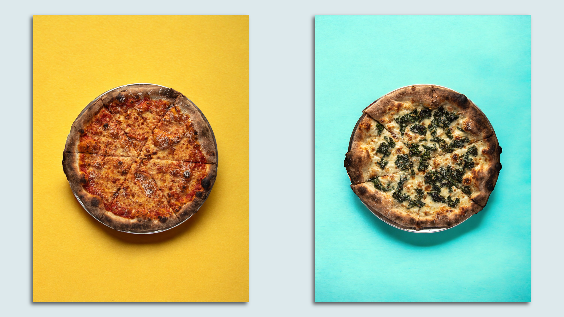 Two pizzas, a red sauce cheese on a yellow background, and a white kale pie on a blue background