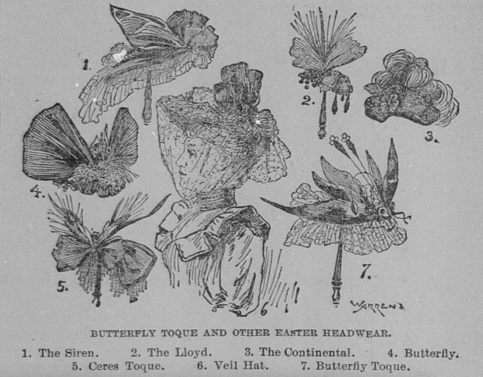 A diagram of women's hats from 1893.