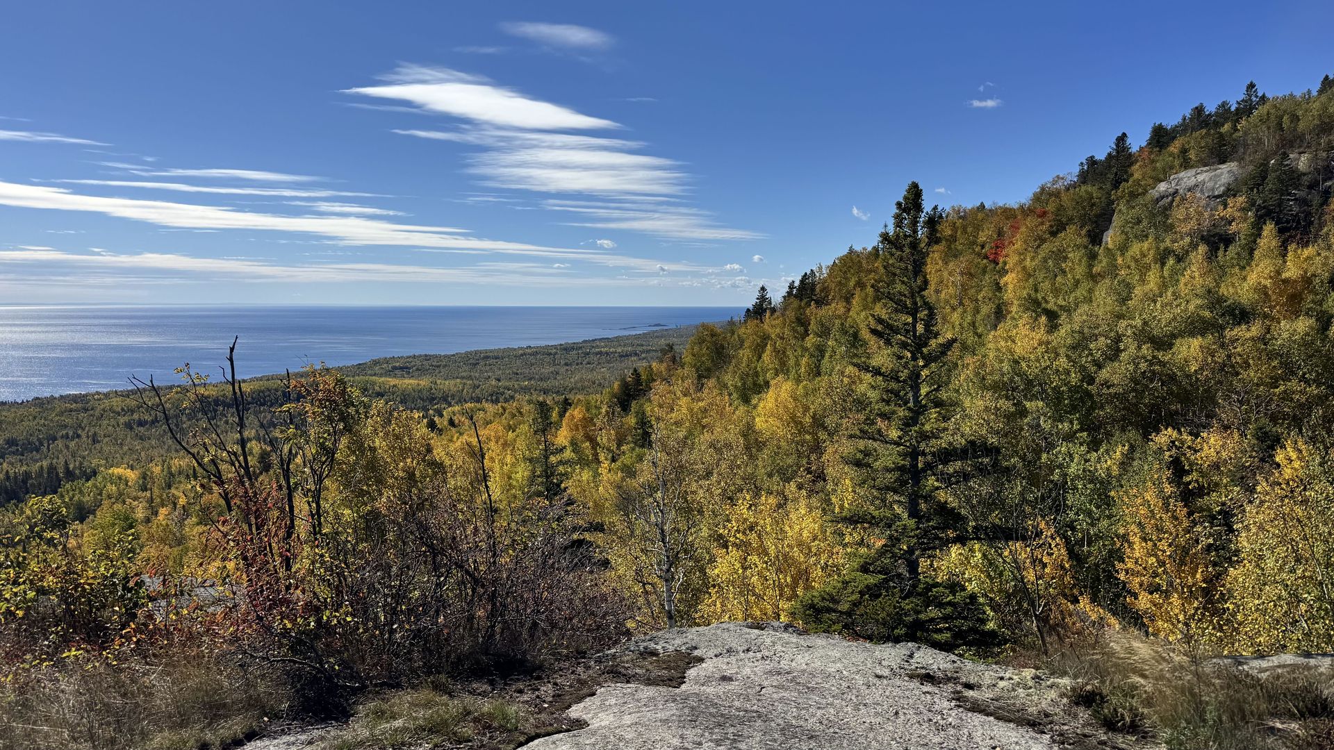 Panoramic coastal landscape: blue sky with wispy clouds, calm ocean on the left, and a sunlit hillside covered in autumn trees (green to gold) on the right; a rocky path in the foreground.