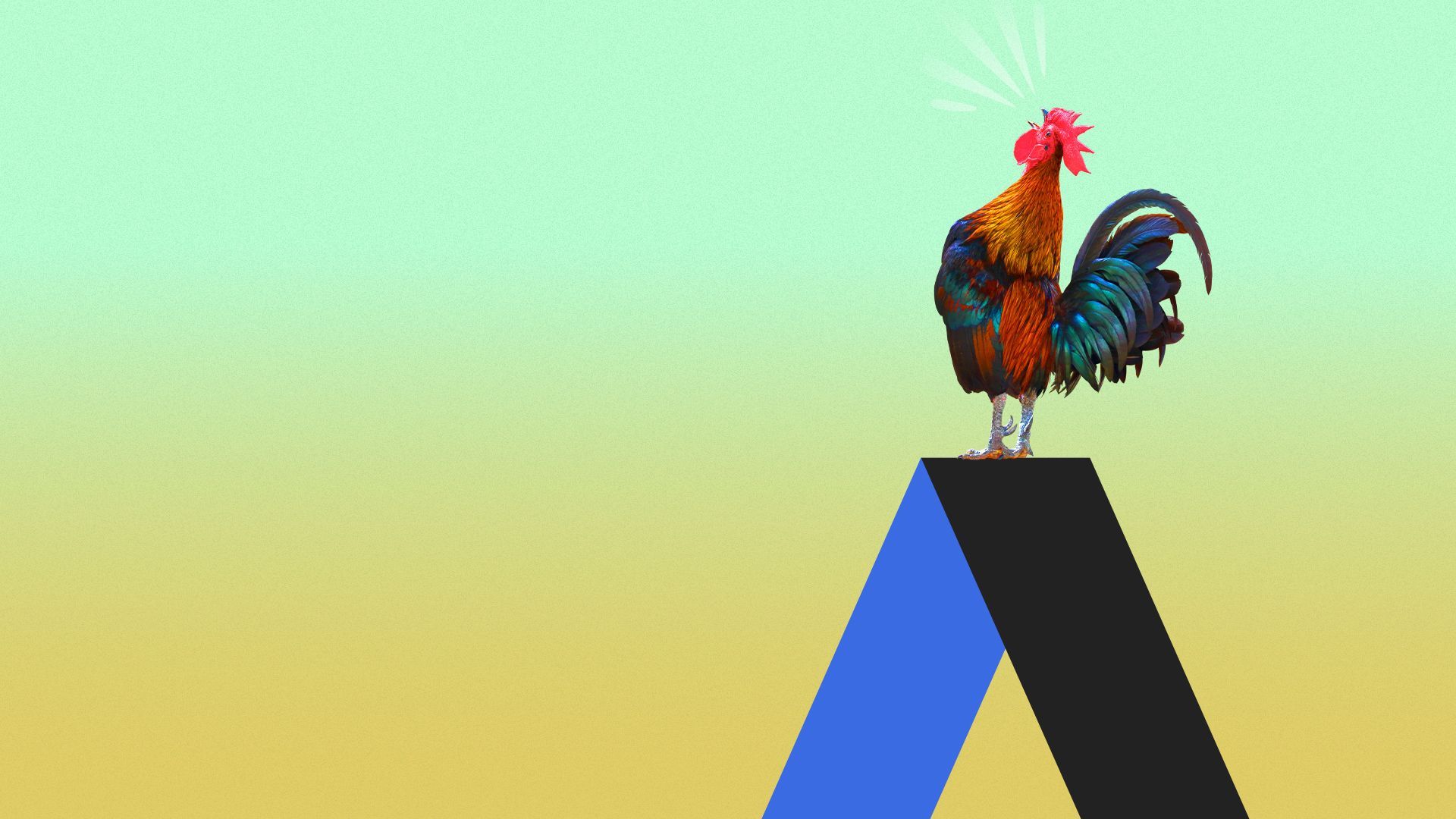 Illustration of a rooster crowing from atop an Axios A.
