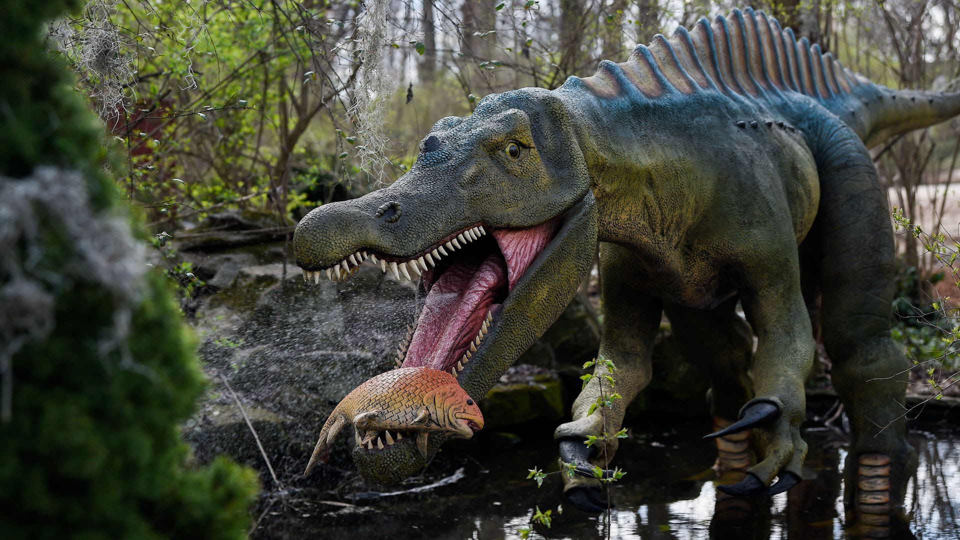 The new DinoTrek exhibit at the Nashville Zoo. 