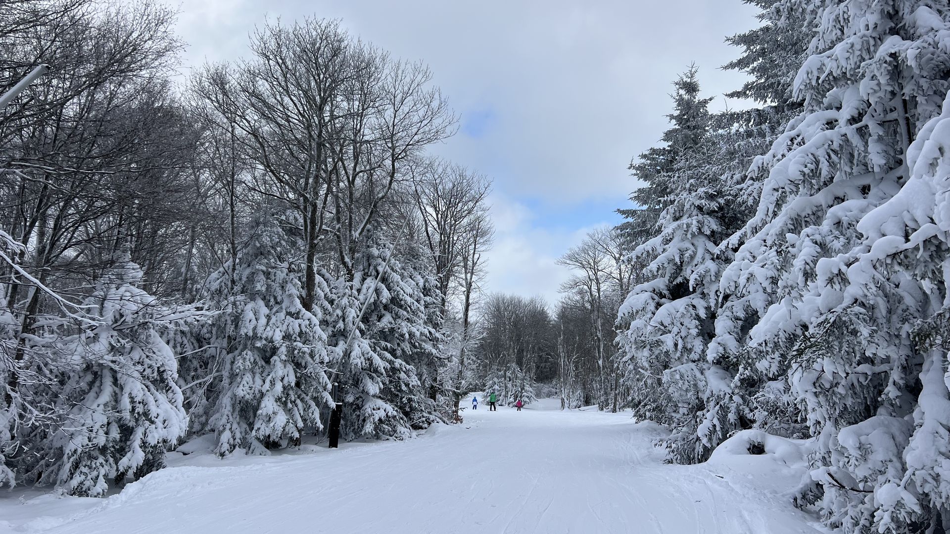 A white powder ski trail in between snowcovered evergreen trees on both sides.
