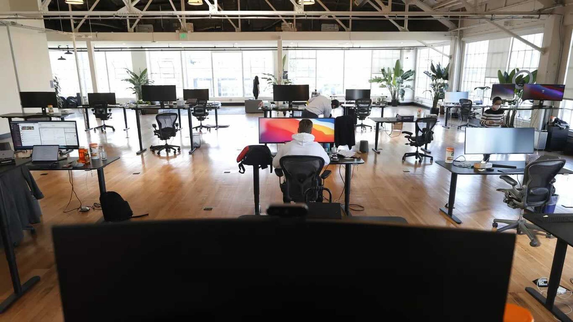 A person sits in an empty office in front of a double monitor with their back to the camera