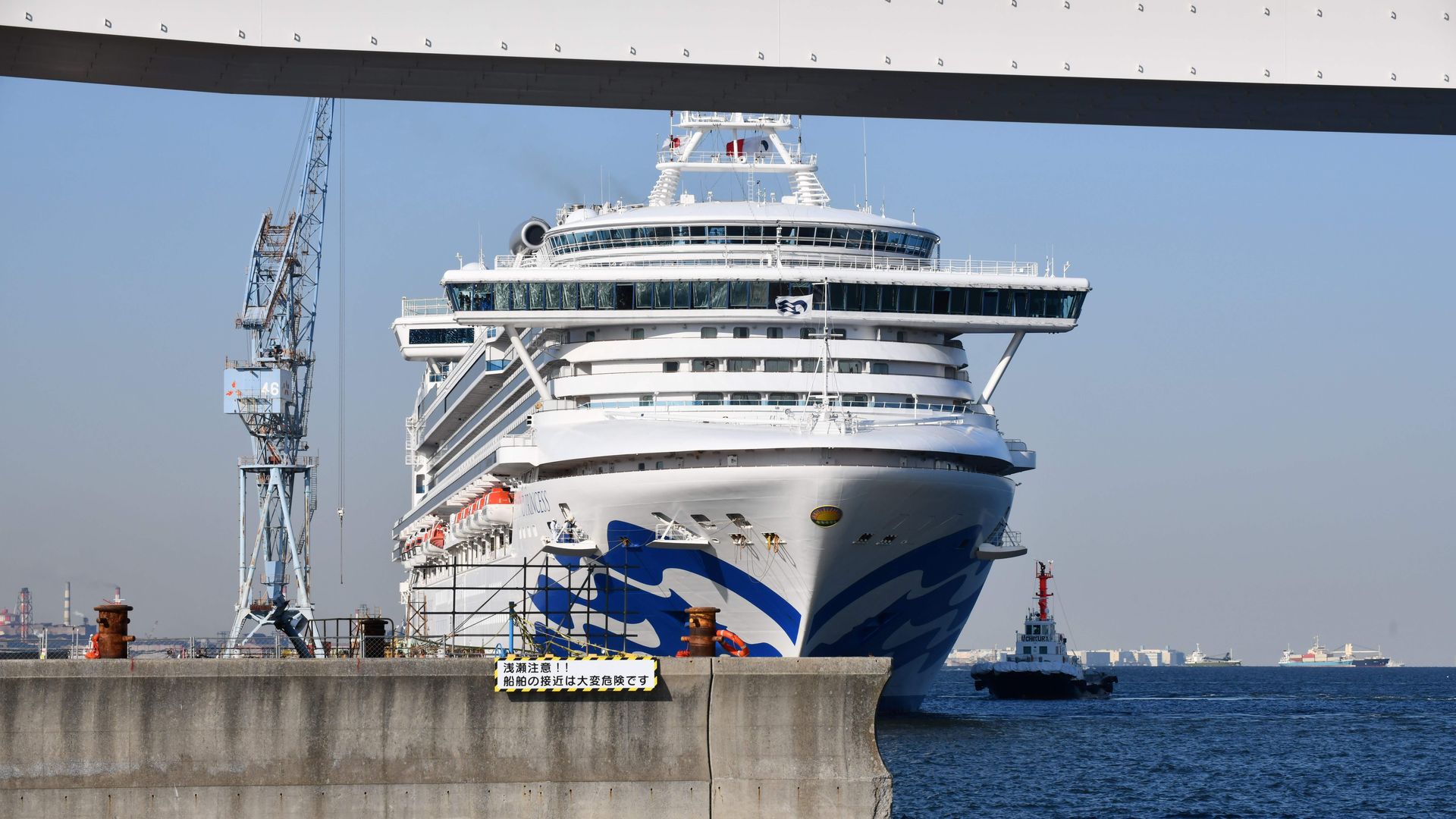 This image shows the Diamond Princess cruise ship