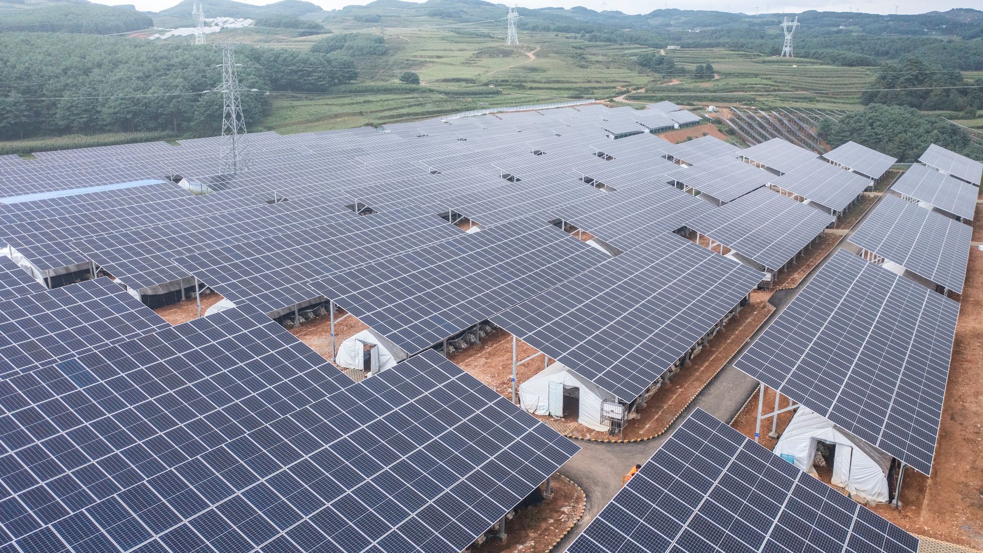 Photo of a row of solar panels on farmland