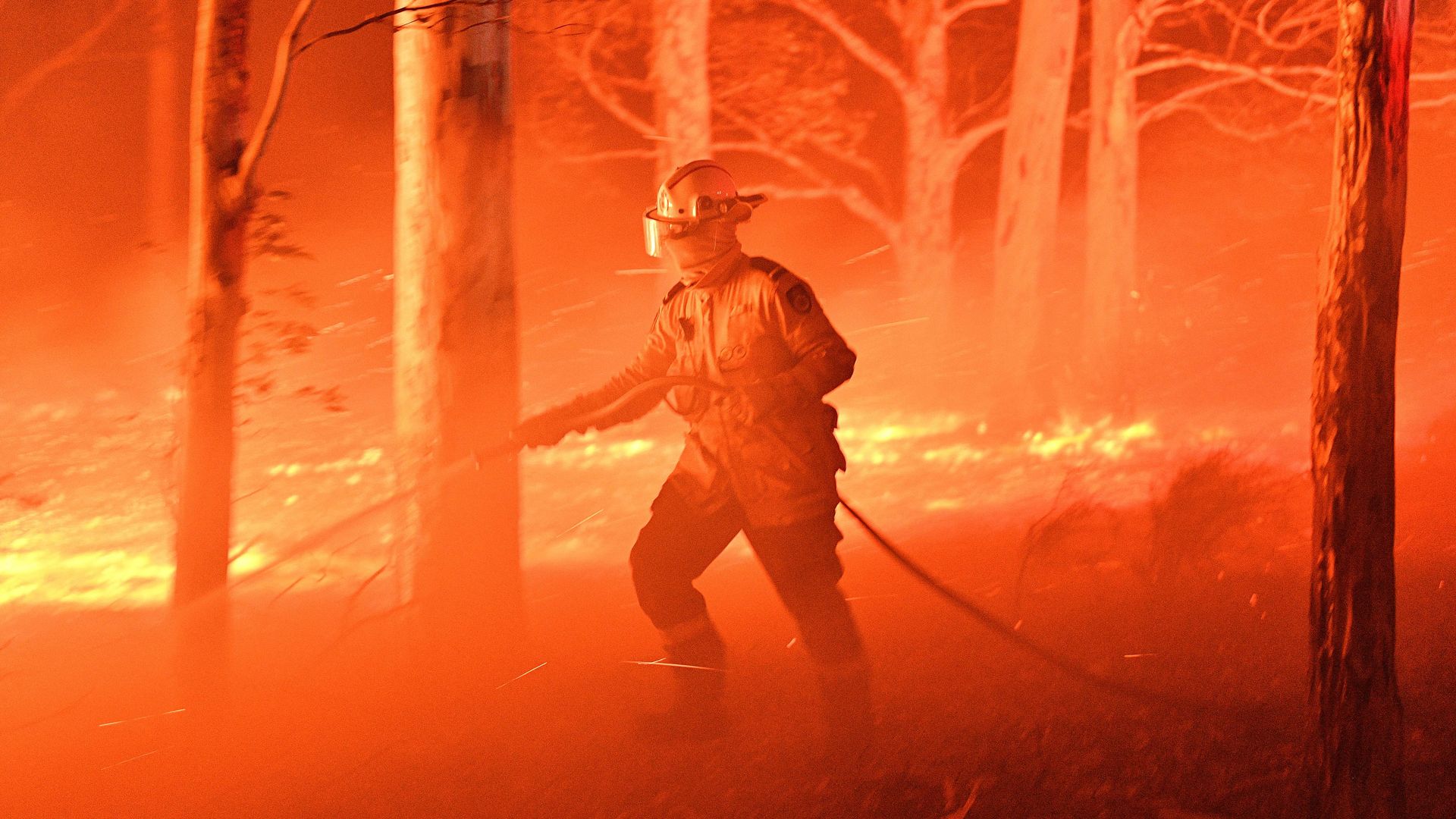a firefighter hosing down trees and flying embers in an effort to secure nearby houses from bushfires near the town of Nowra in the Australian state of New South Wales.