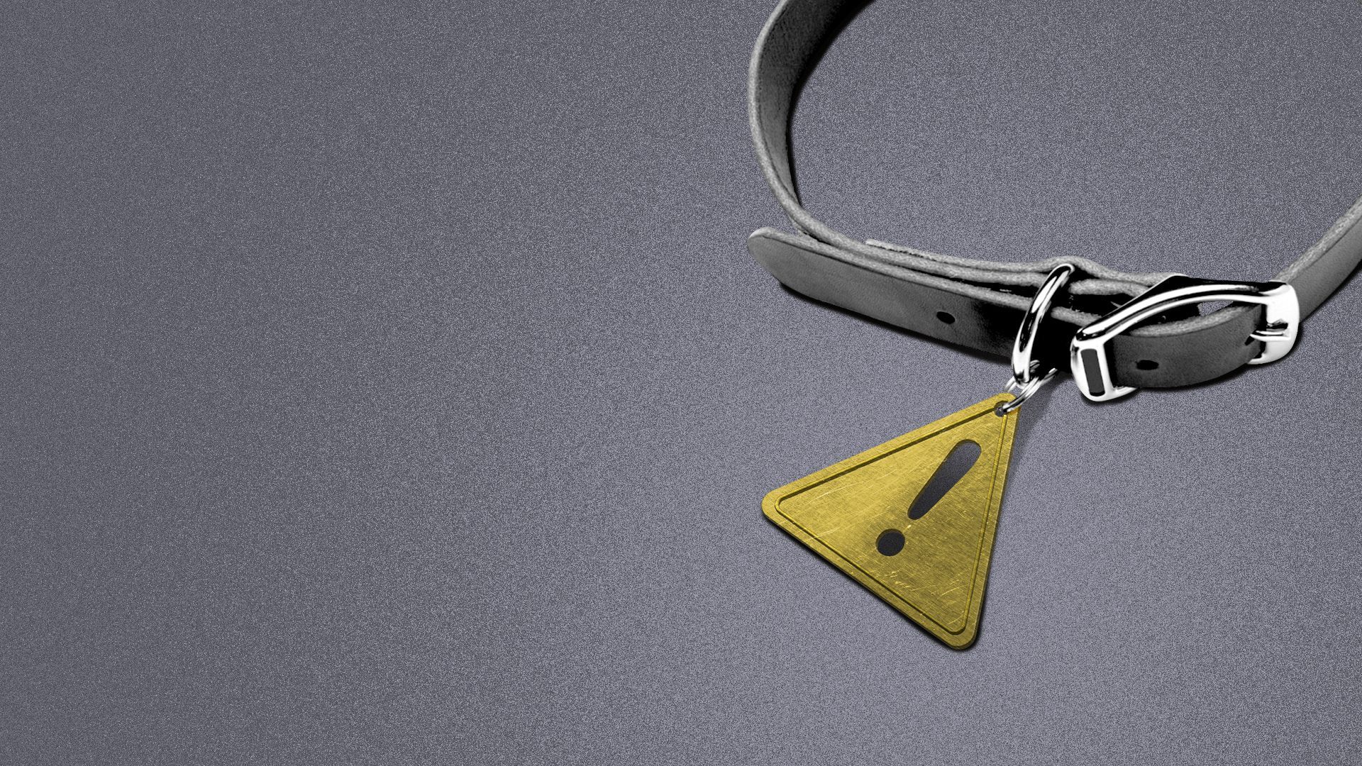 Illustration of a dog collar with a metal pendant in the shape of an emergency symbol with an exclamation point.