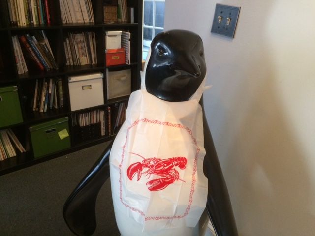 penguin in south end