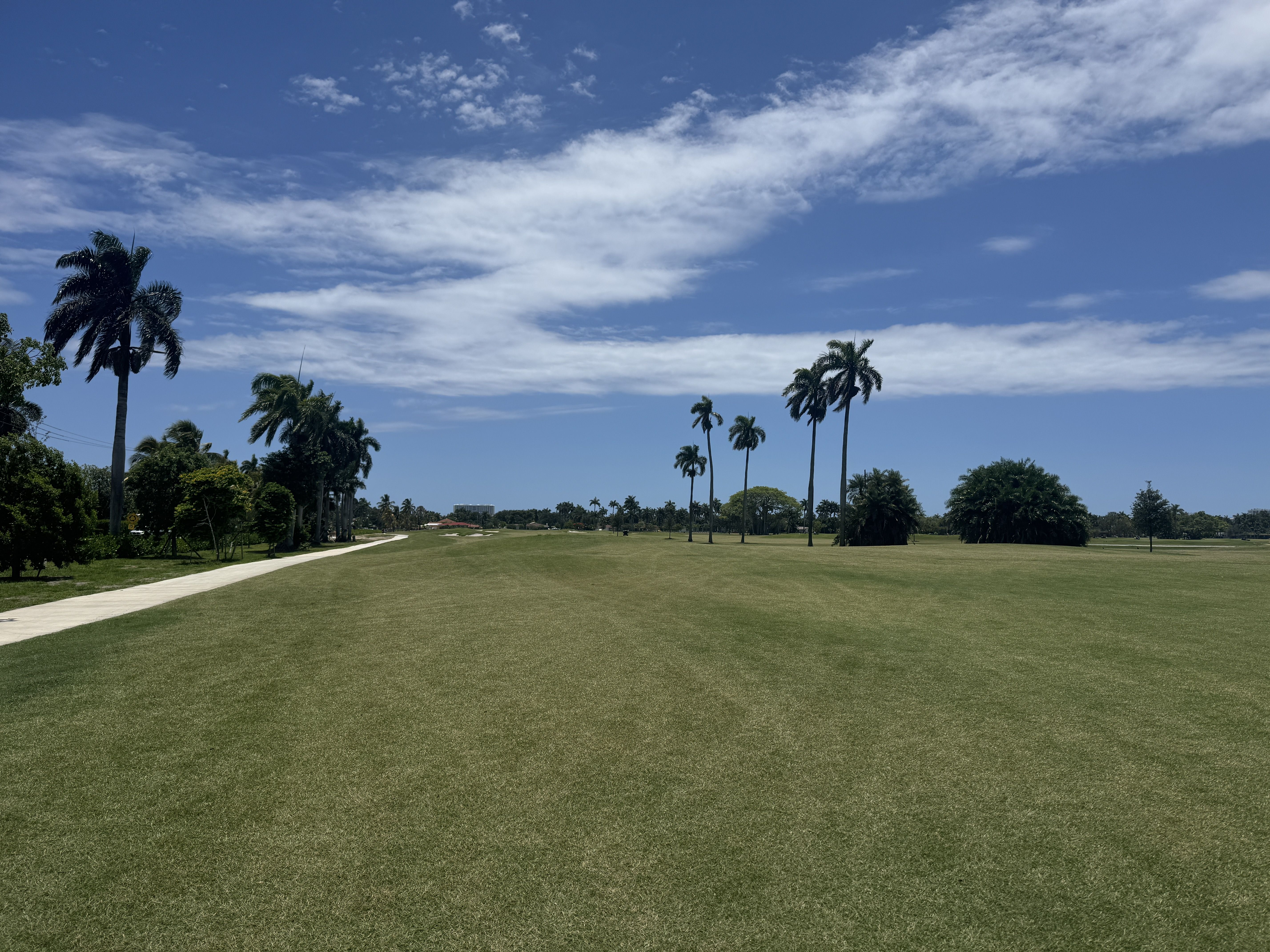 Golf course fairway with concrete path on the left, and tall palm trees lining the edges. A clear blue sky with wispy white clouds.