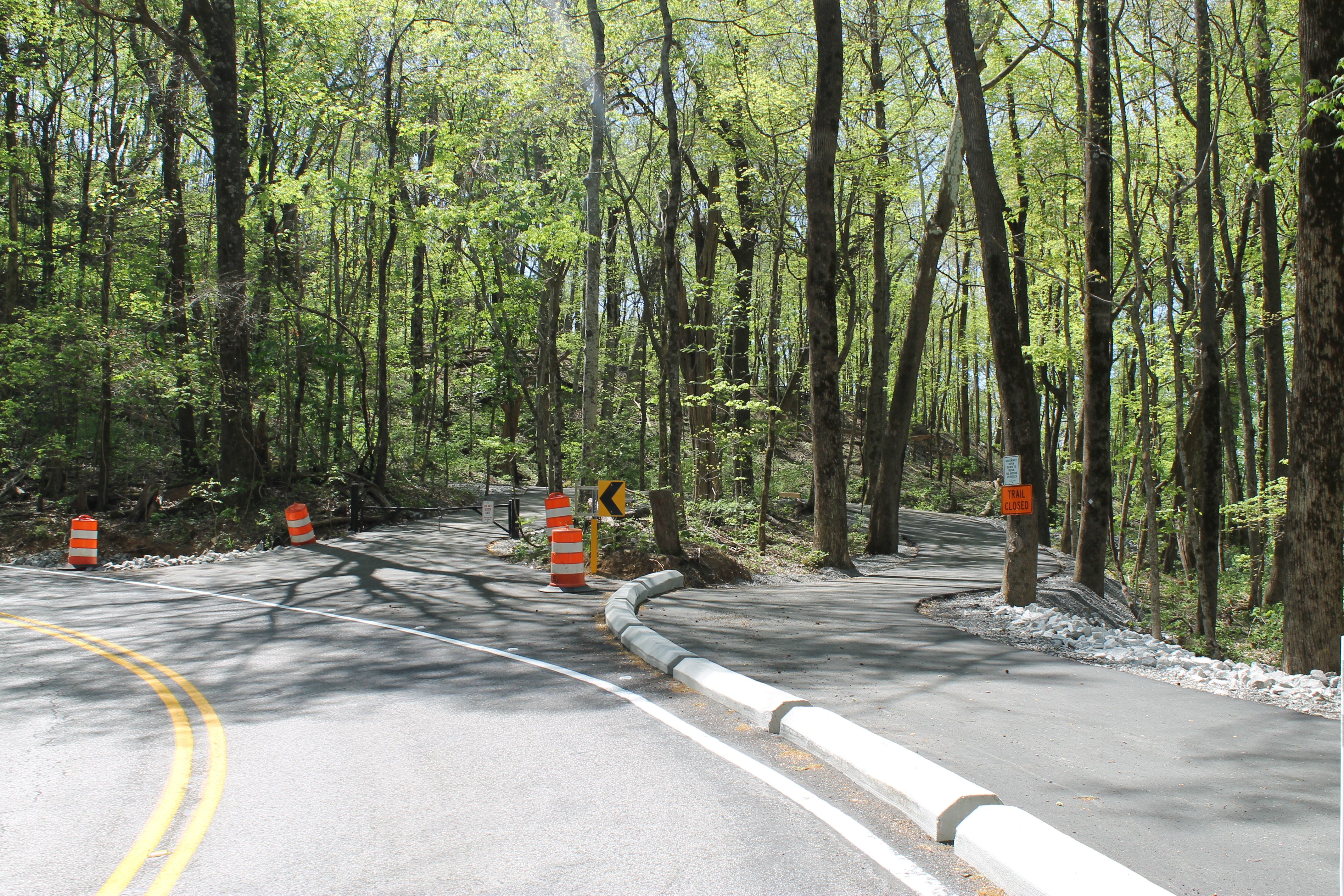 Paved road winds through a green forest, with orange construction barrels and a concrete curb barrier. Sunlight filters through leaves; a "Trail Closed" sign is tied to a tree.
