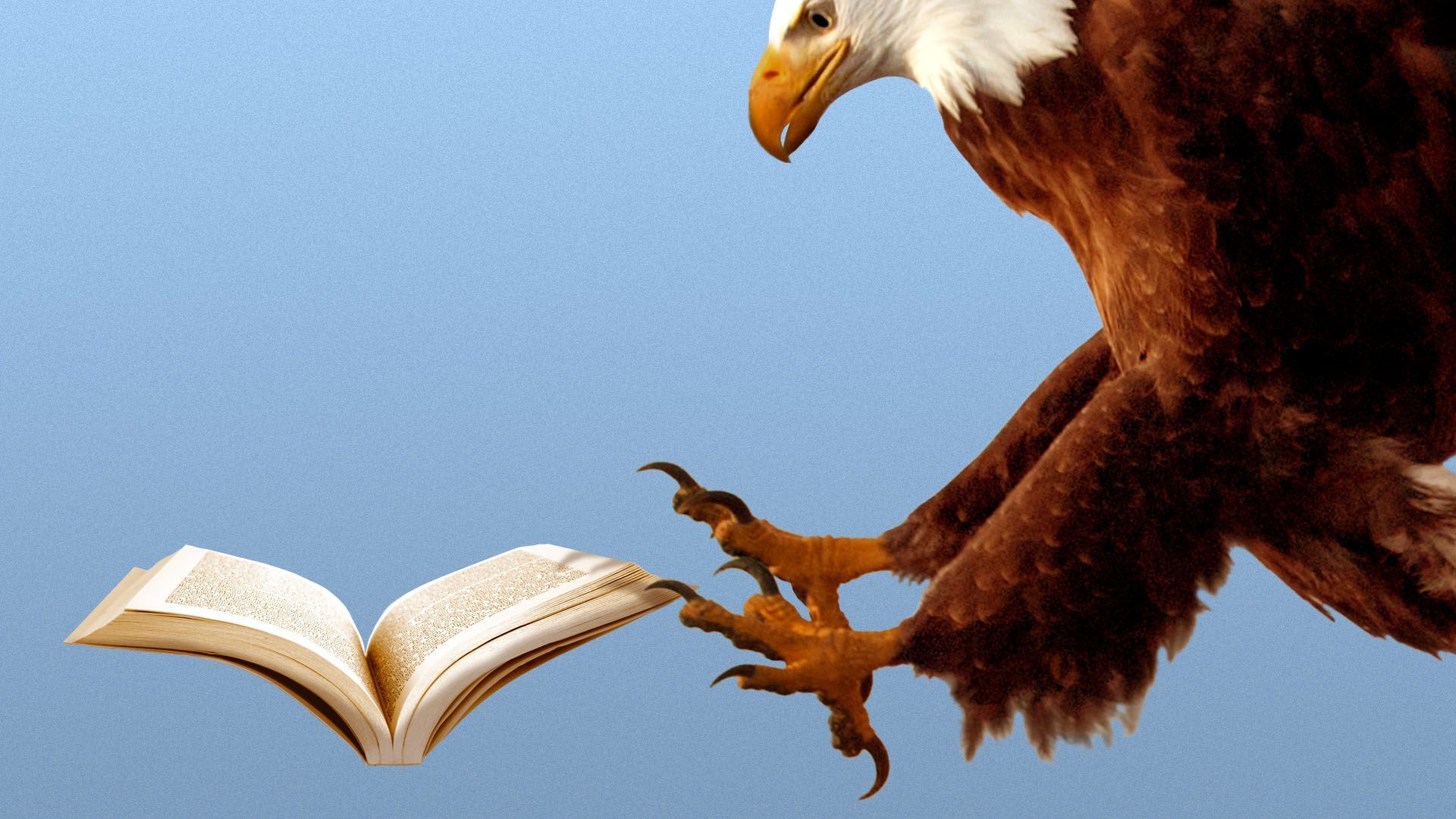 Illustration of a flying eagle about to grab a book