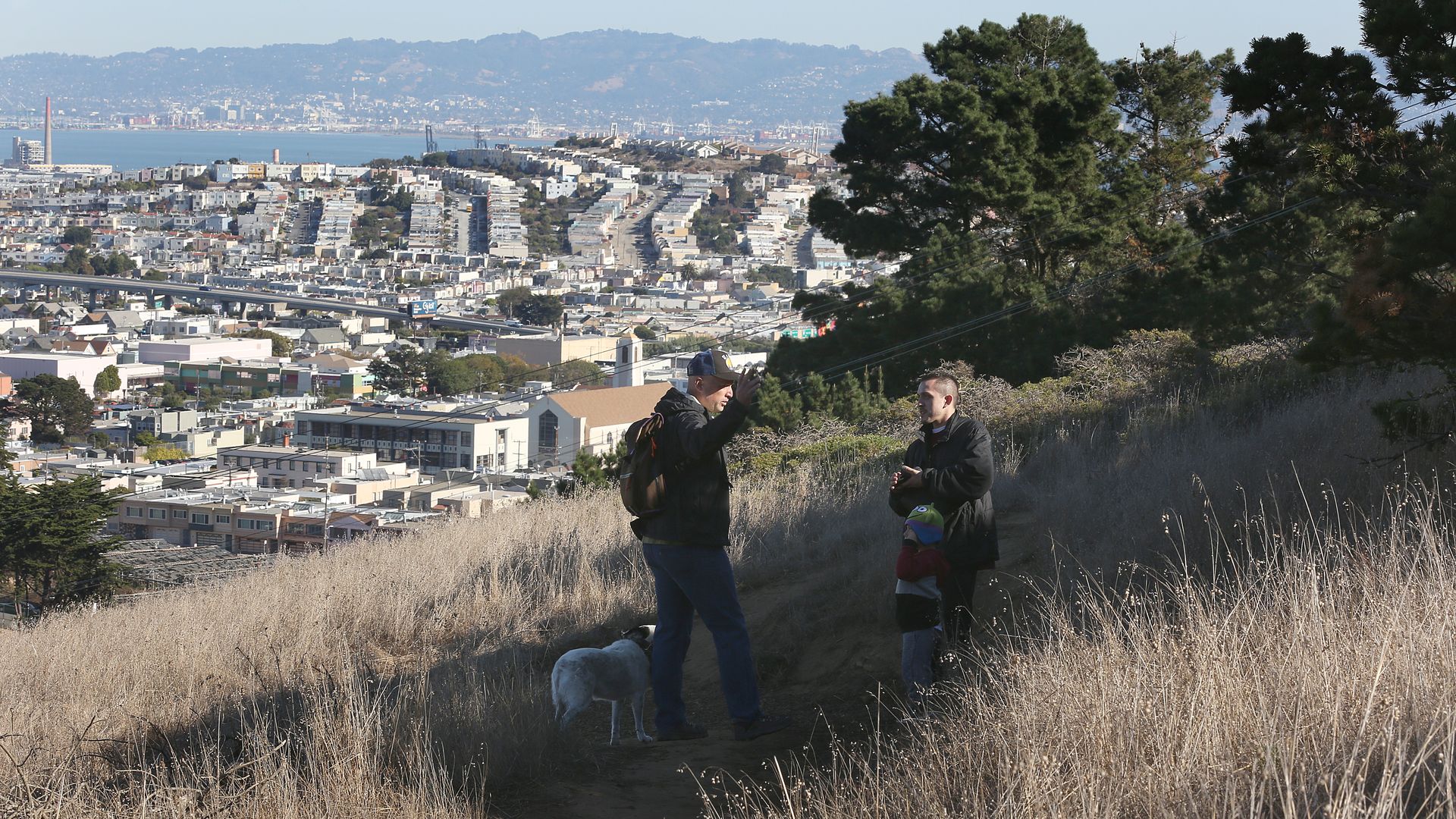 mclaren park