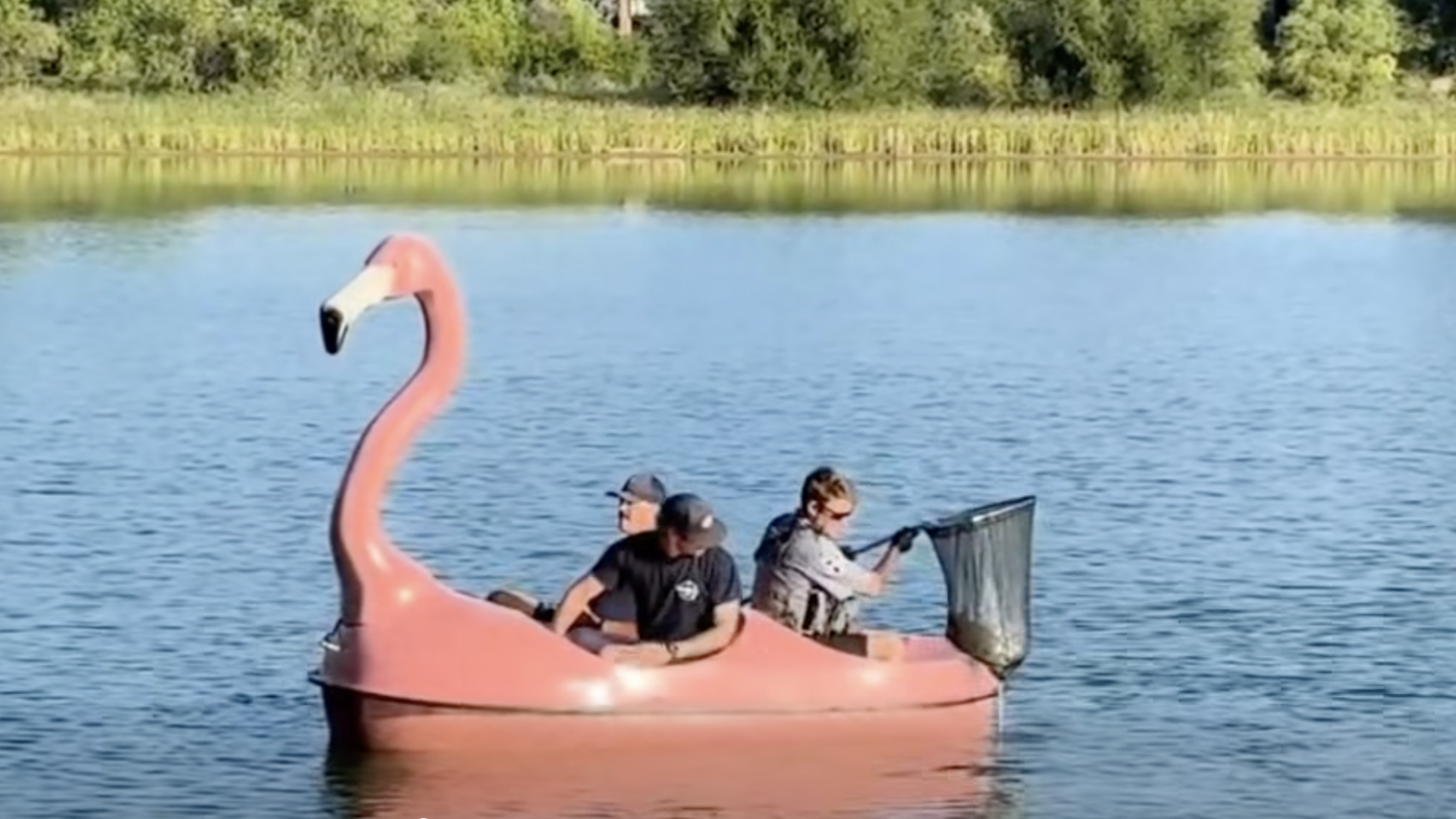 Two people ride a pink flamingo-shaped pedal boat on a calm blue lake; one man paddles while another sits at the back, holding a fishing net. In the distance, green reeds line the shore.