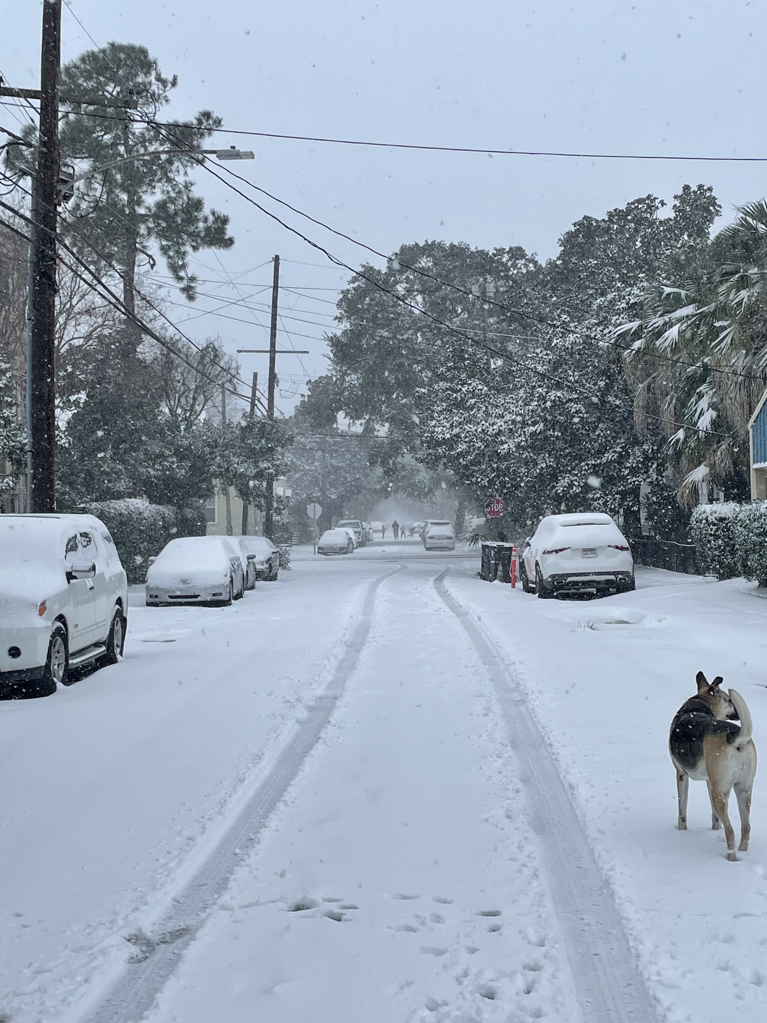 photo shows a street covered in snow