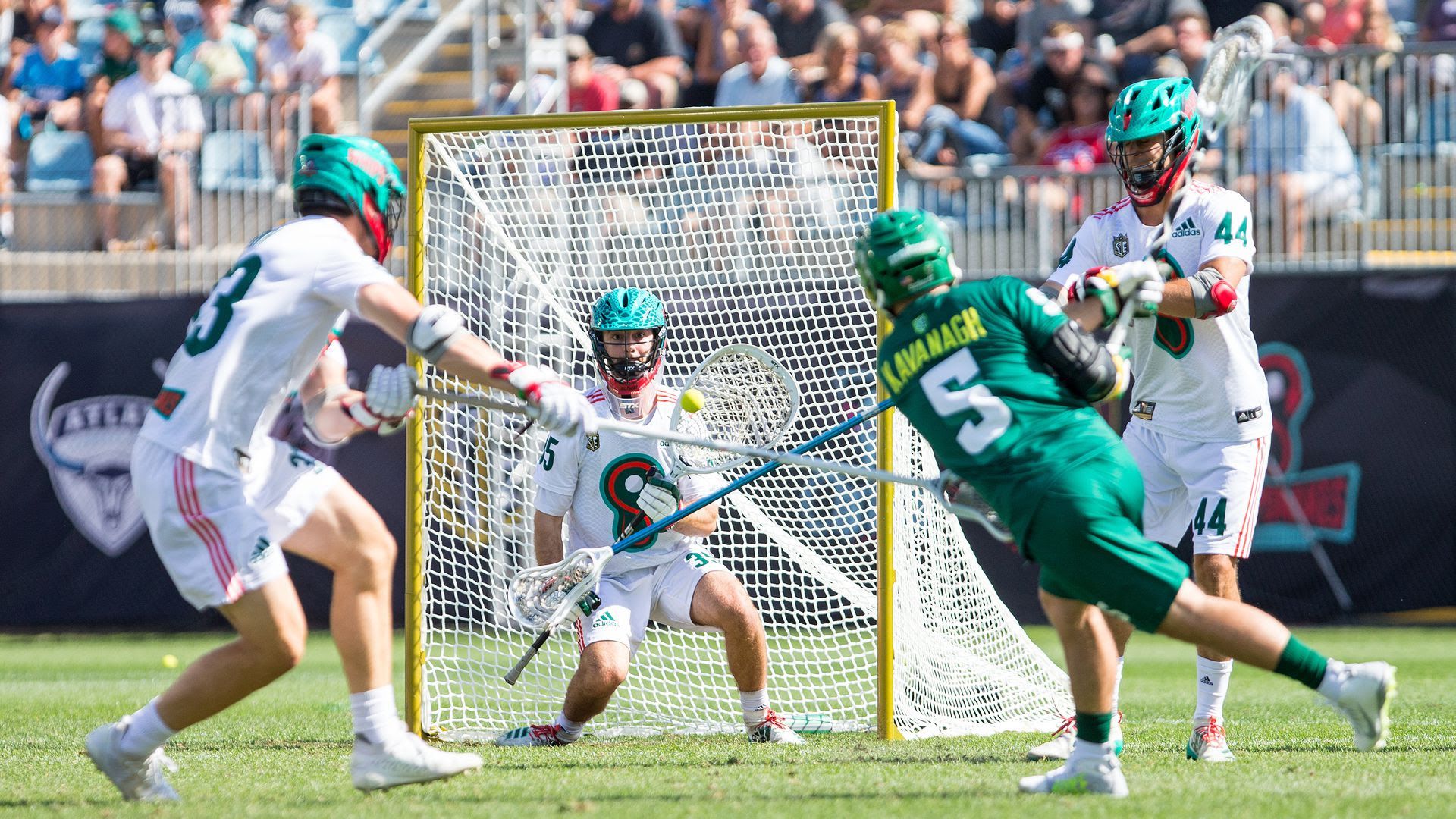 Premier league lacrosse players playing the game.