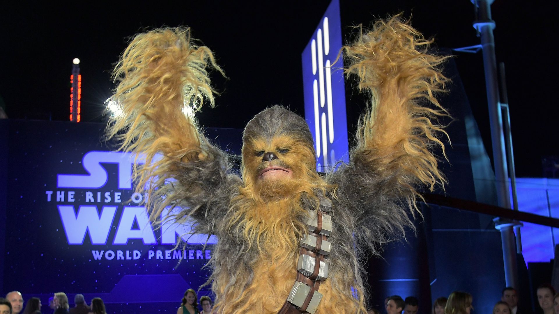 Chewbacca from Star Wars