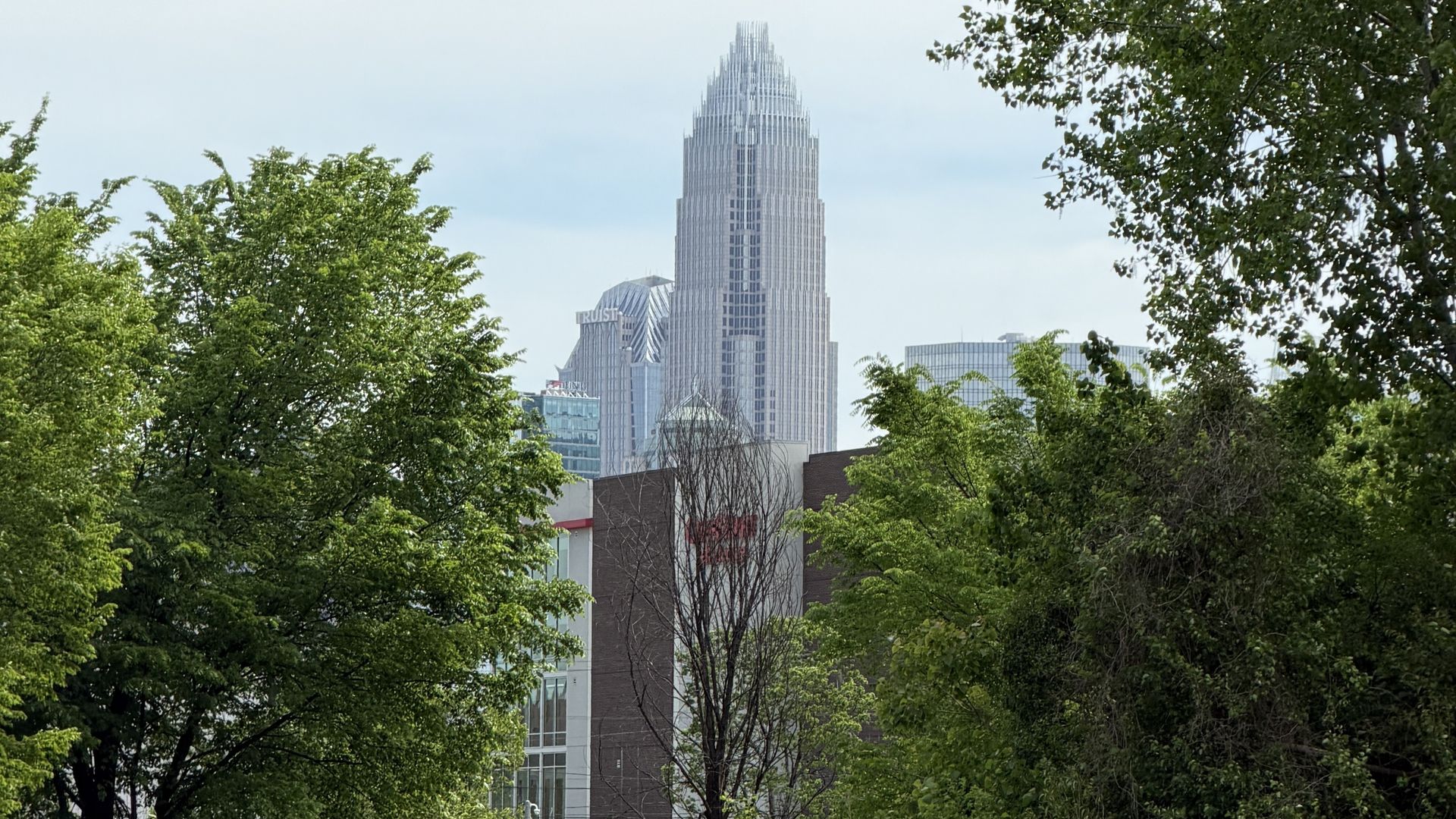 Grassy park in the foreground with trees on both sides. In the distance, a modern city skyline rises, dominated by a tall white tiered skyscraper beneath a pale blue sky.