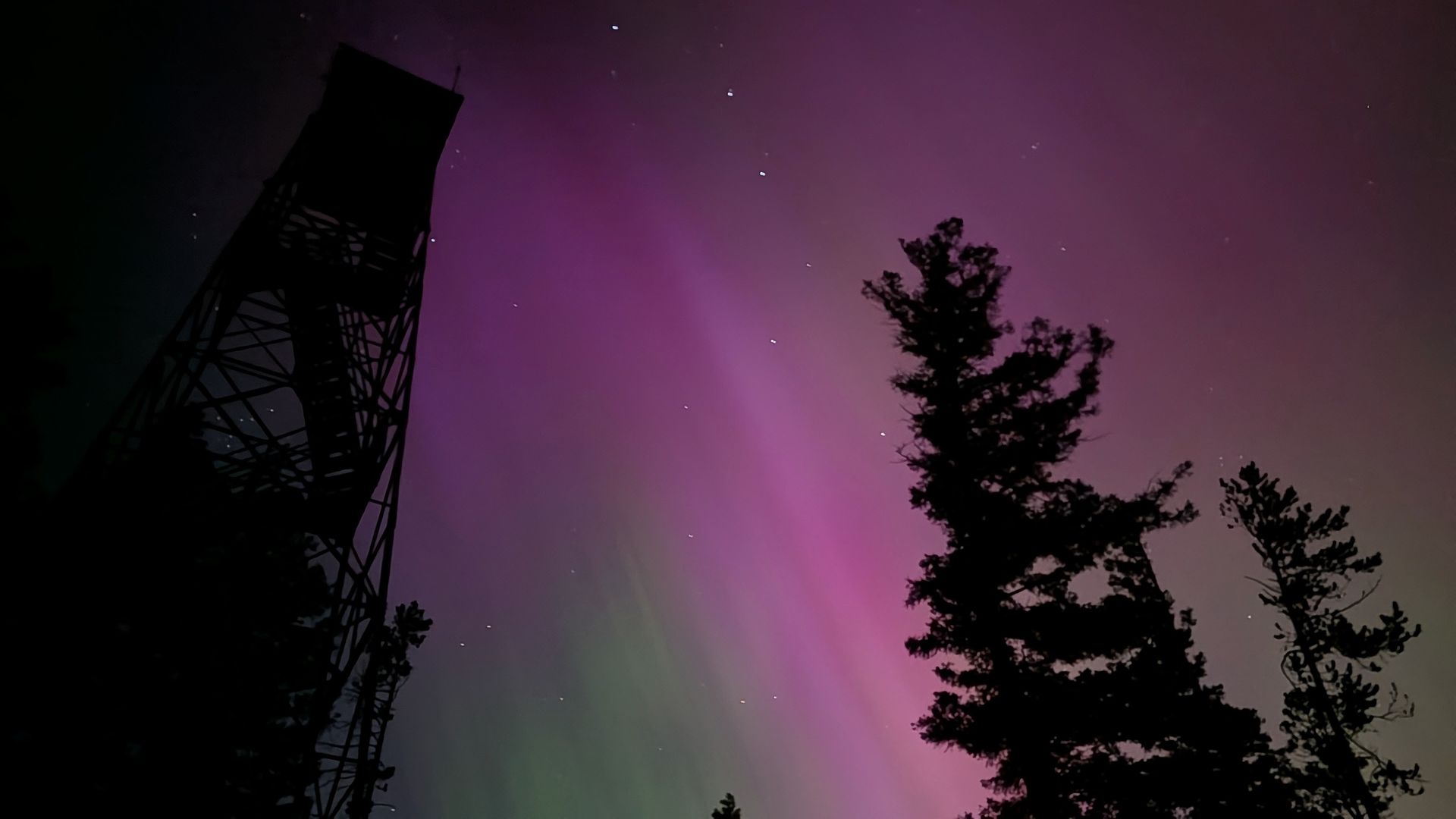 Northern lights above a fire watch tower and a conifer tree.
