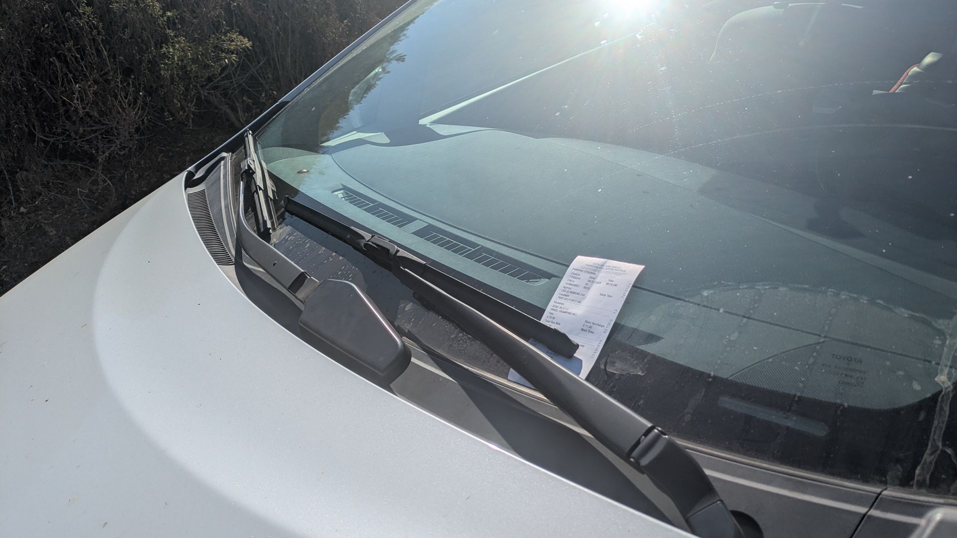 Front view of a light car windshield with intense sun glare. Wipers lie at the bottom, a receipt rests on the dashboard inside, and dense bushes appear along the left edge.