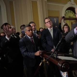 Democrats embrace votes to make government shutdown hurt less