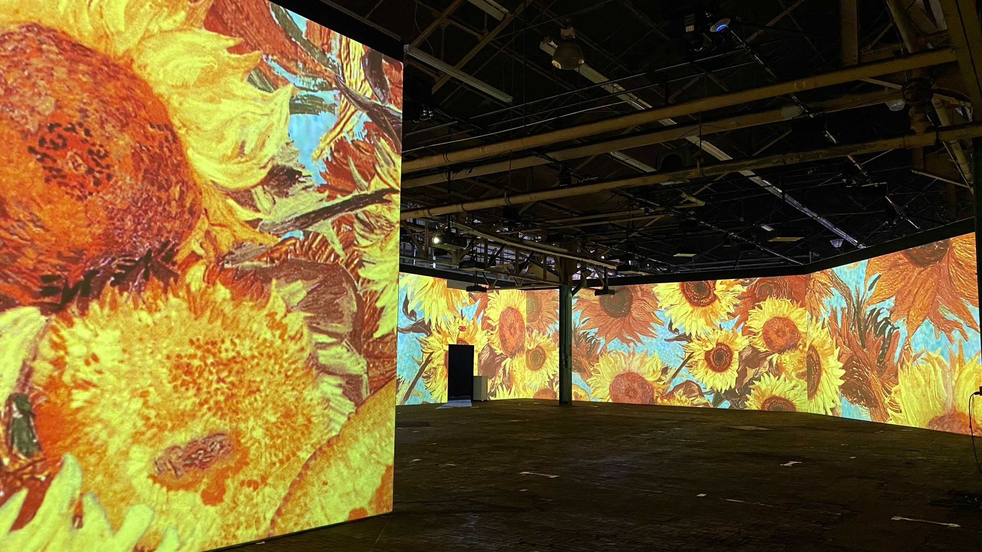 image from the immersive Van Gogh exhibit