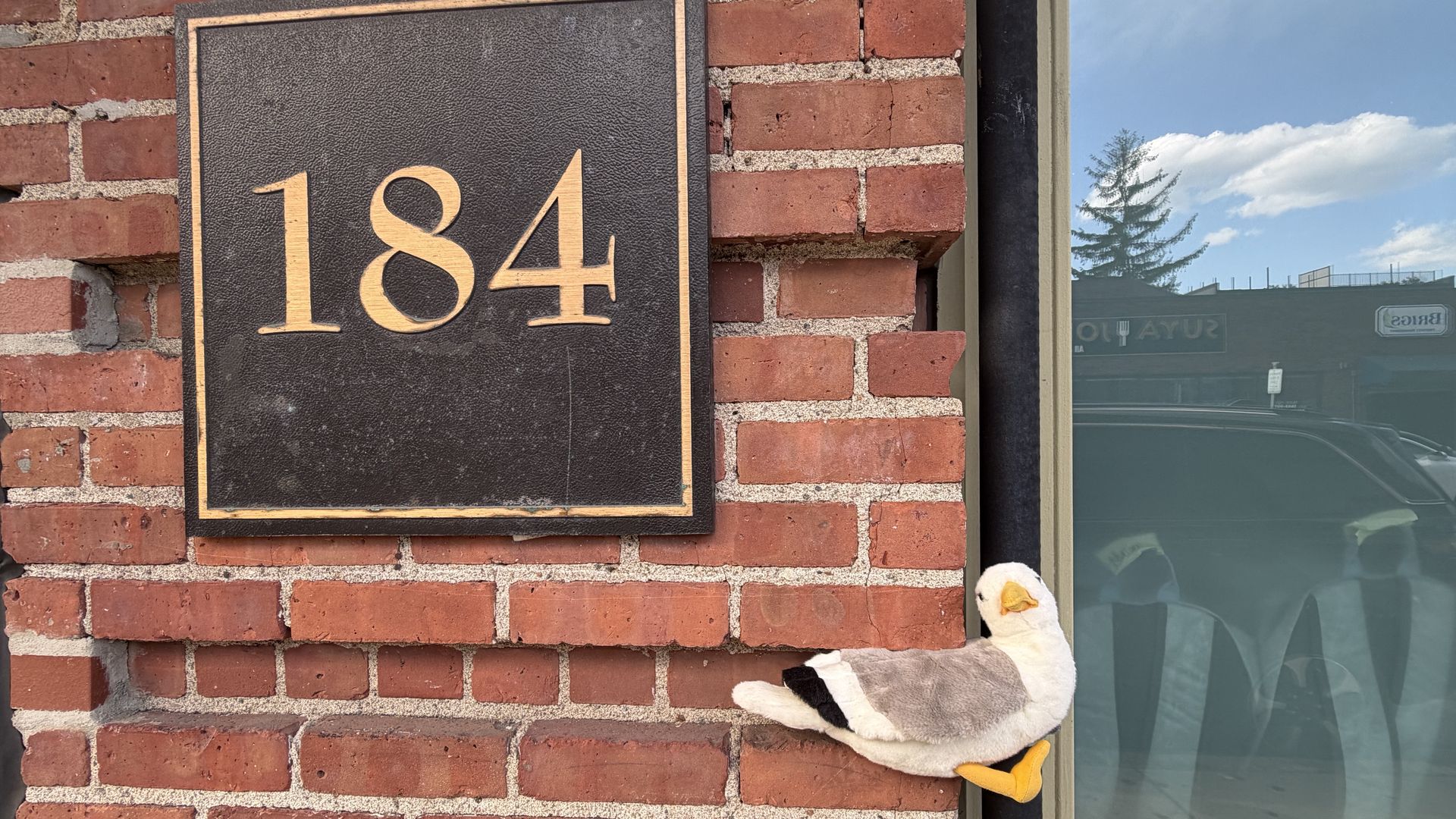 Townie, Axios Boston's plush gullscott, is perched on a ridge of a brick wall between a storefront window and a large black sign with the number "184" in an undisclosed Boston-area location.
