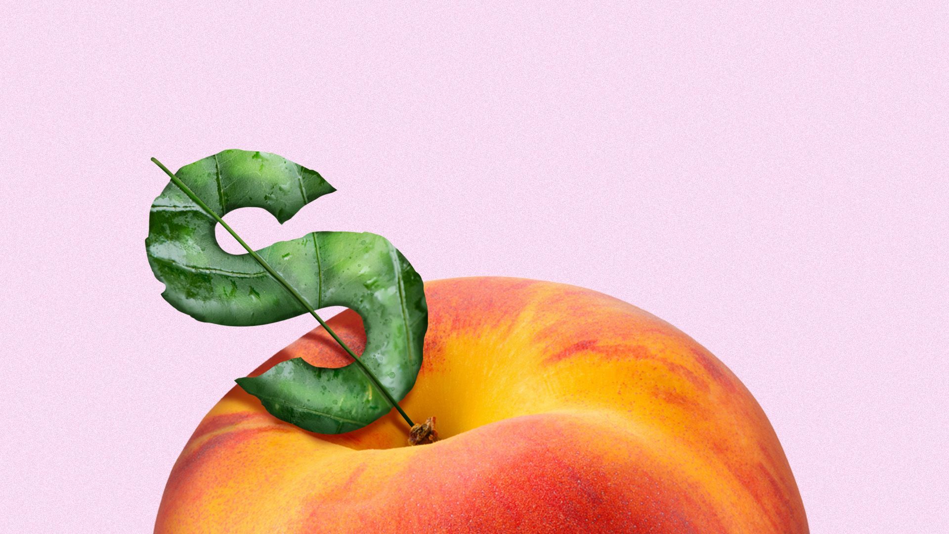 Illustration of a peach with a dollar-bill-shaped leaf