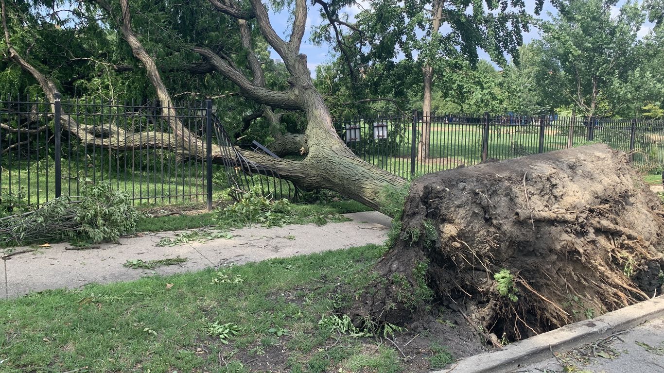 Quiz: How well do you know Chicago weather history and culture? - Axios ...